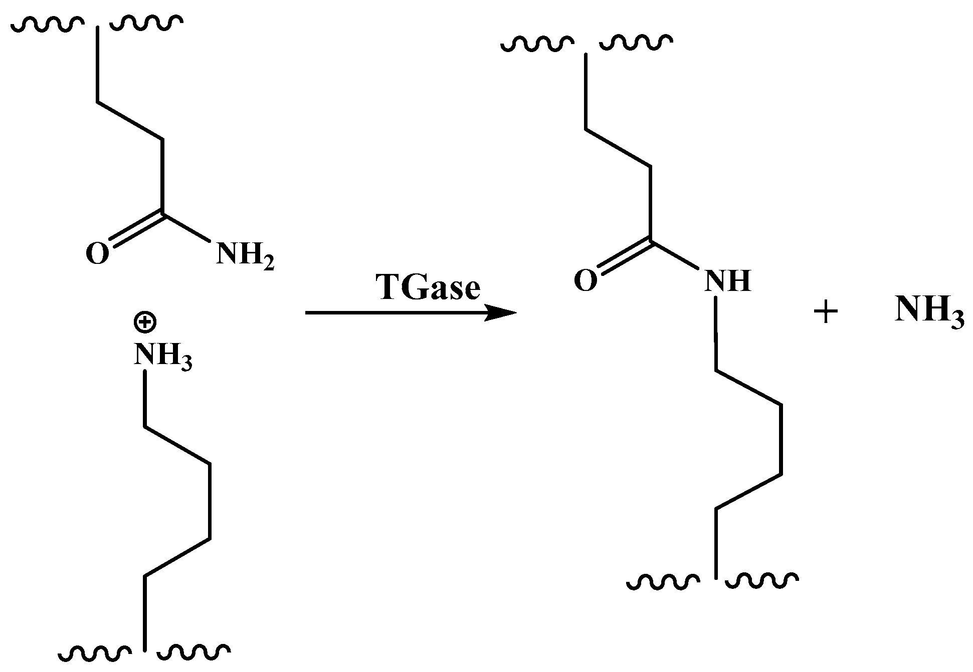 Molecules 28 07800 g005