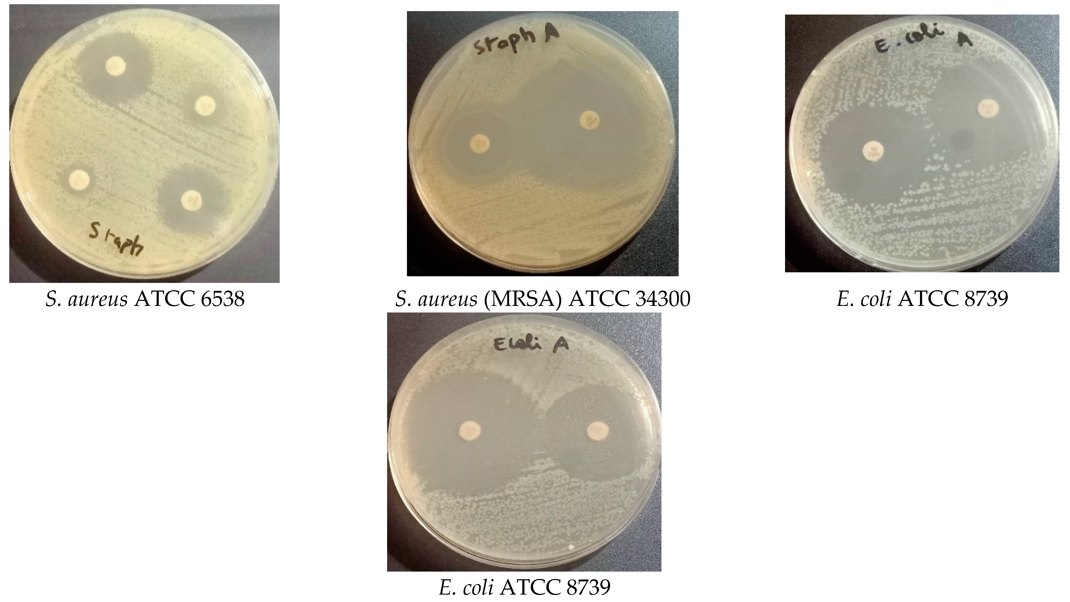 Molecules 28 07801 g005b