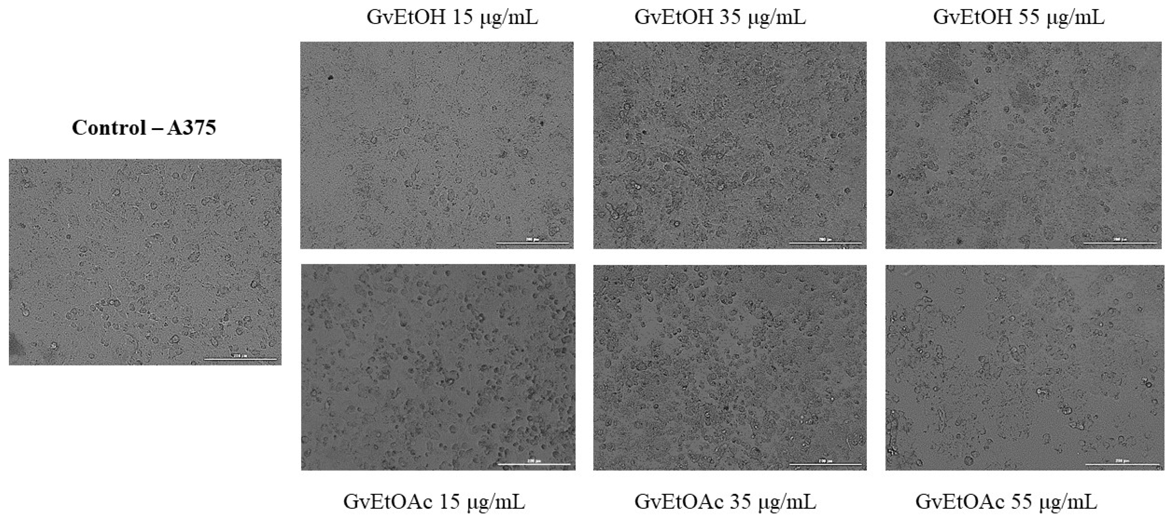 Molecules 28 07804 g007