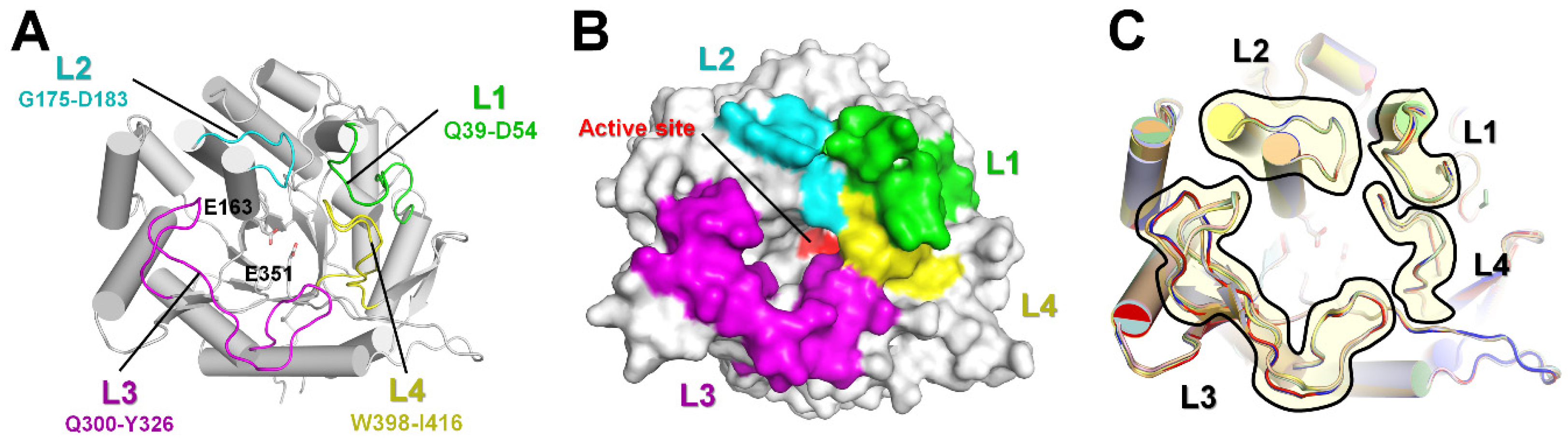 Molecules 28 07807 g001