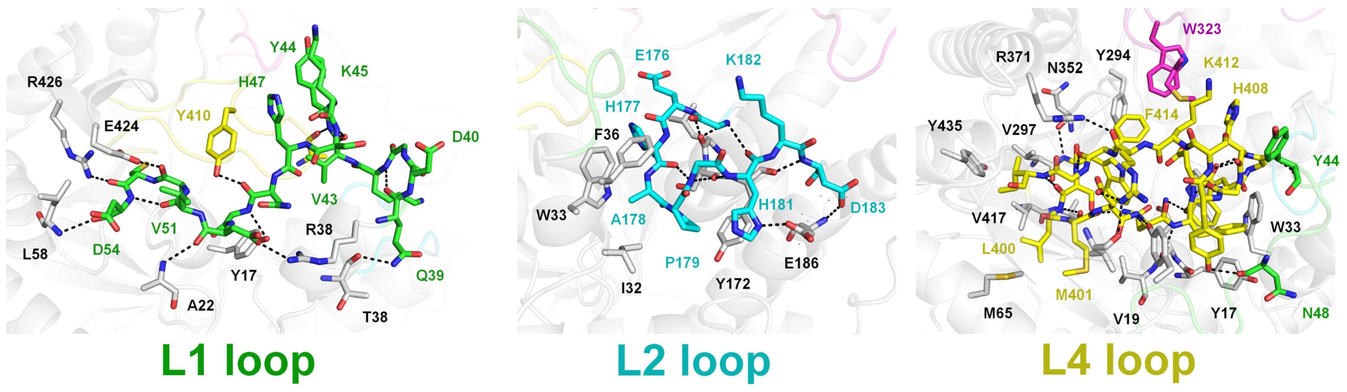 Molecules 28 07807 g003