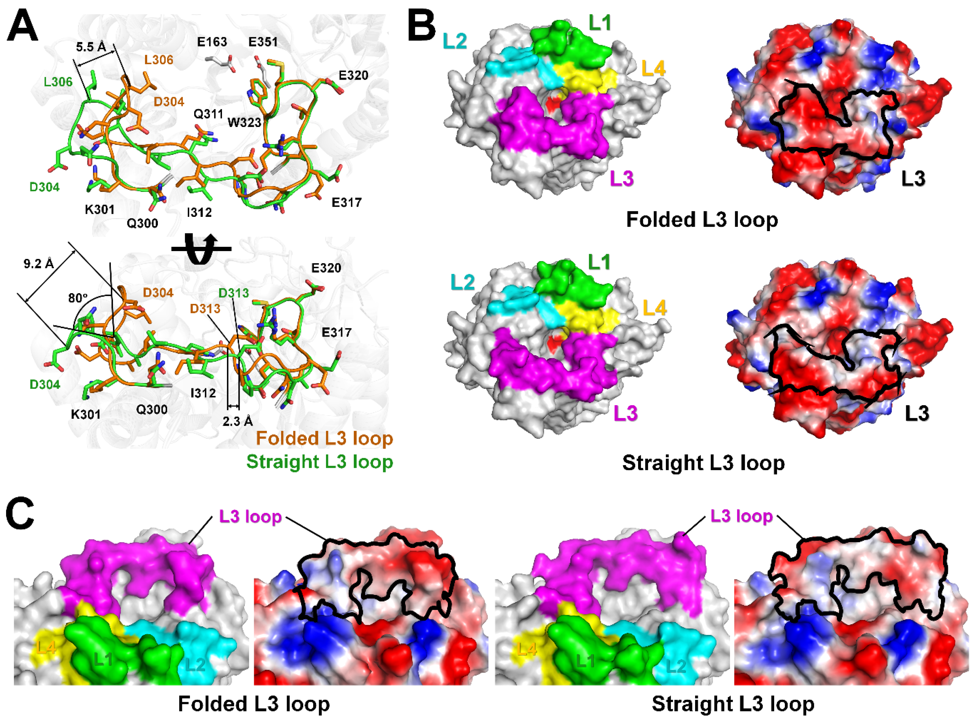 Molecules 28 07807 g004