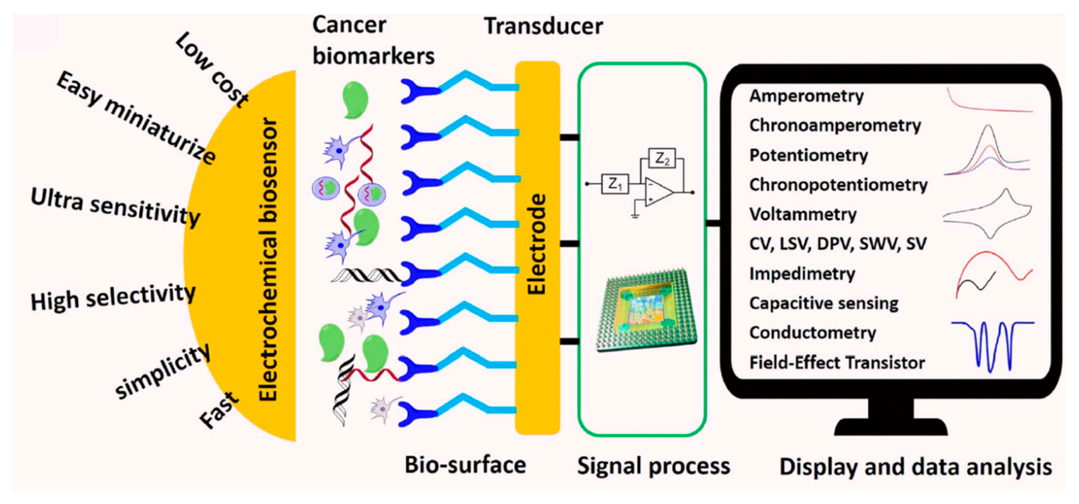 Molecules 28 07828 g014