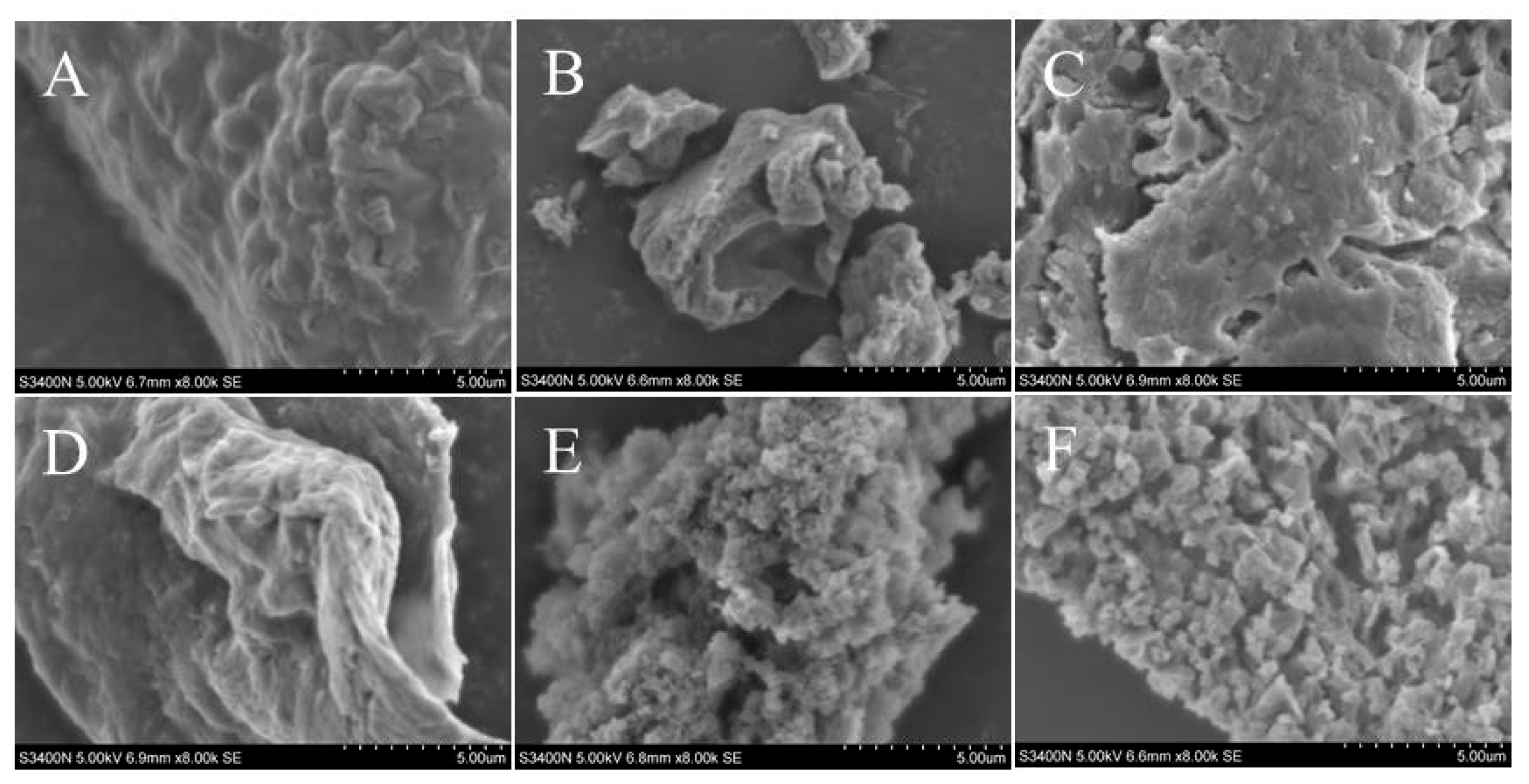 Molecules 28 07845 g004