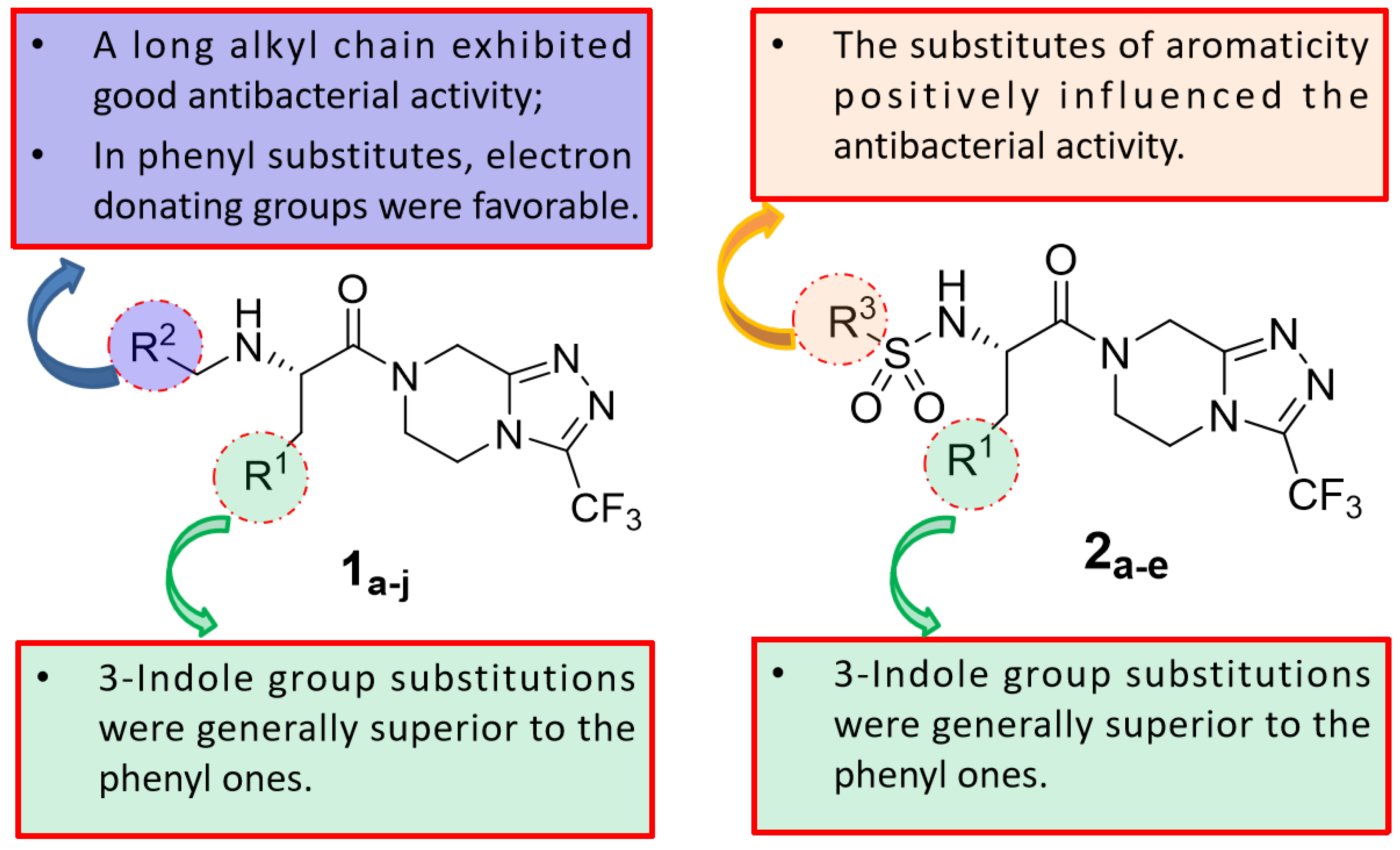 Molecules 28 07876 g002