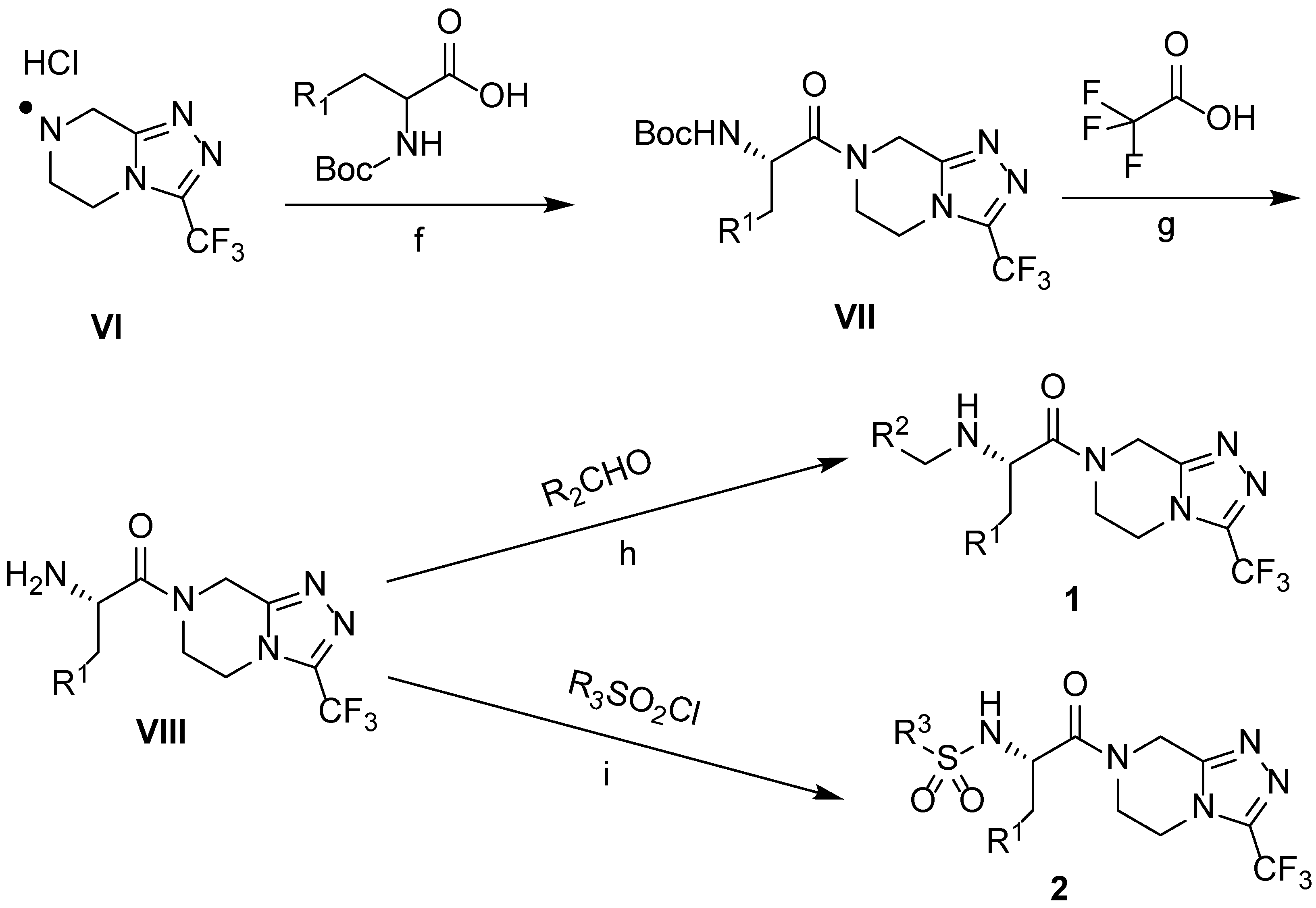 Molecules 28 07876 sch002