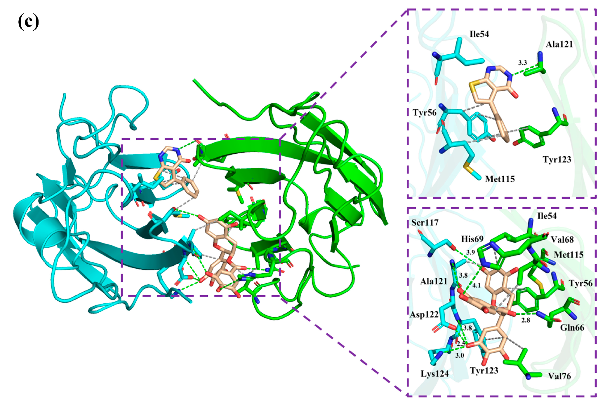 Molecules 28 07881 g006b