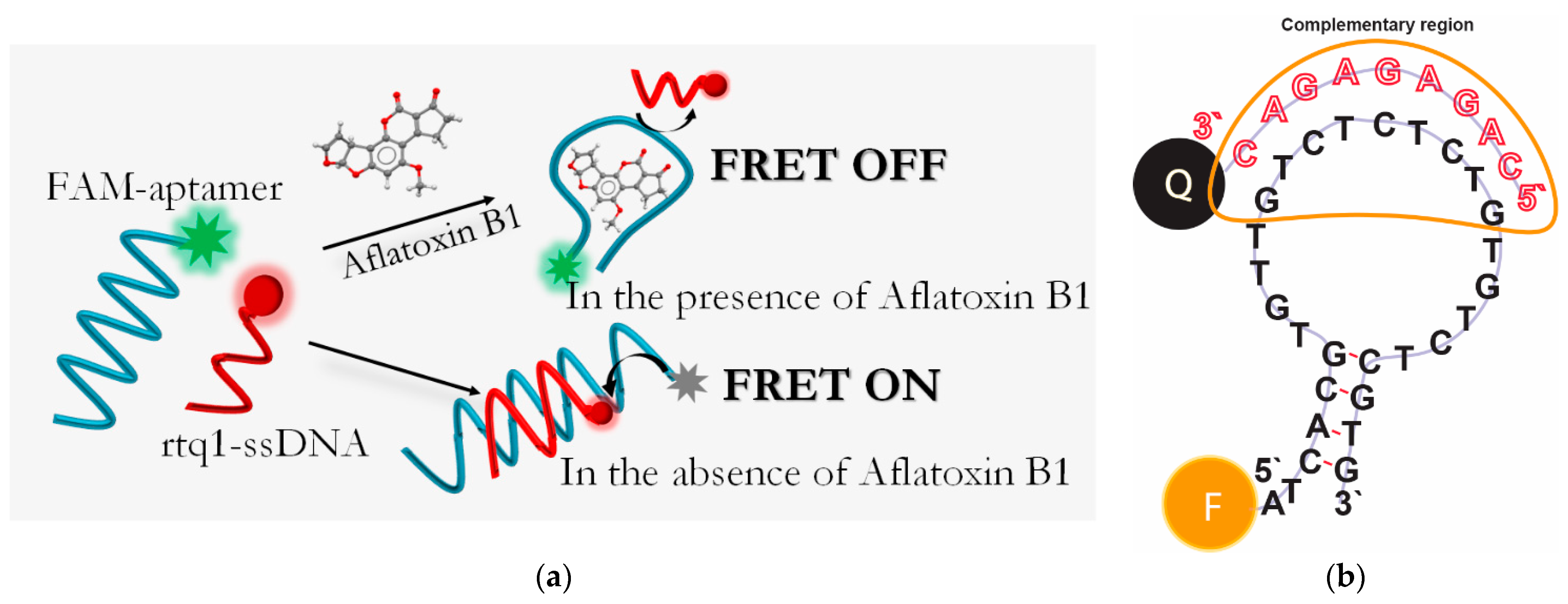 Molecules 28 07889 g001