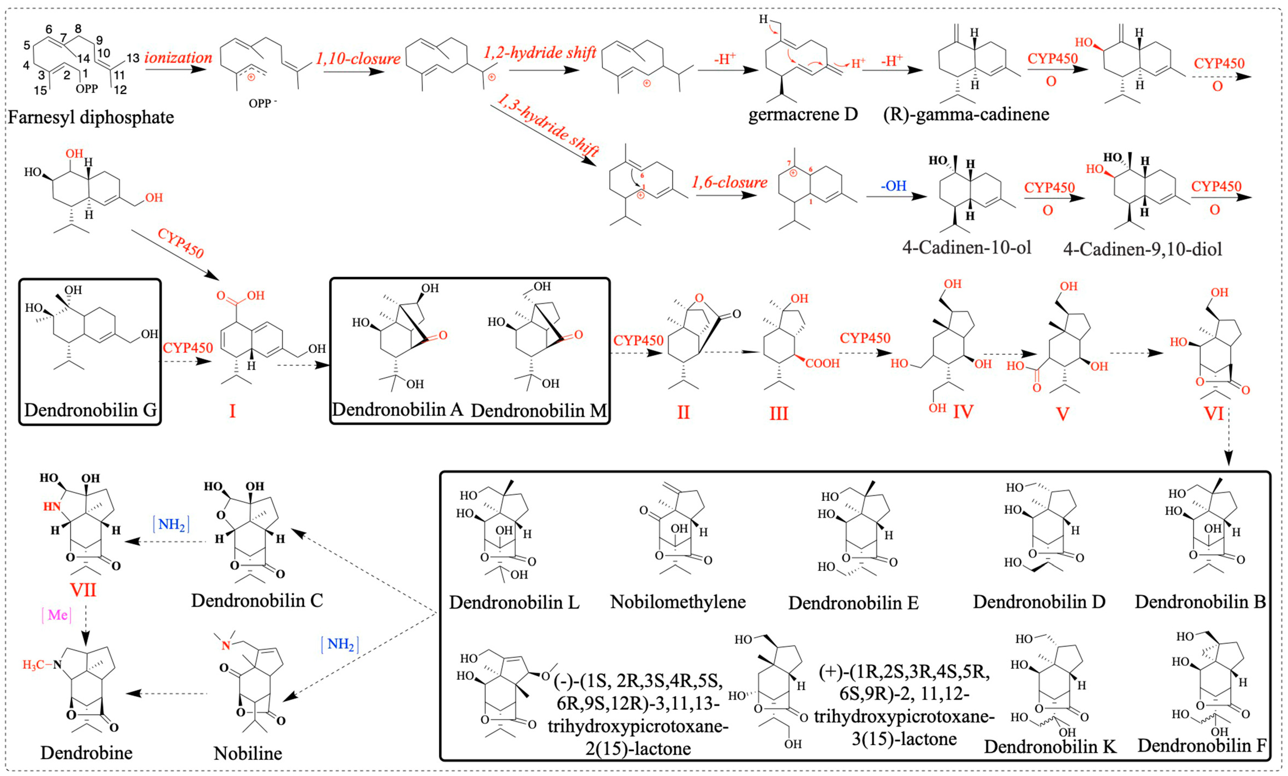 Molecules 28 07892 g012 Molecules 28 07892 g012