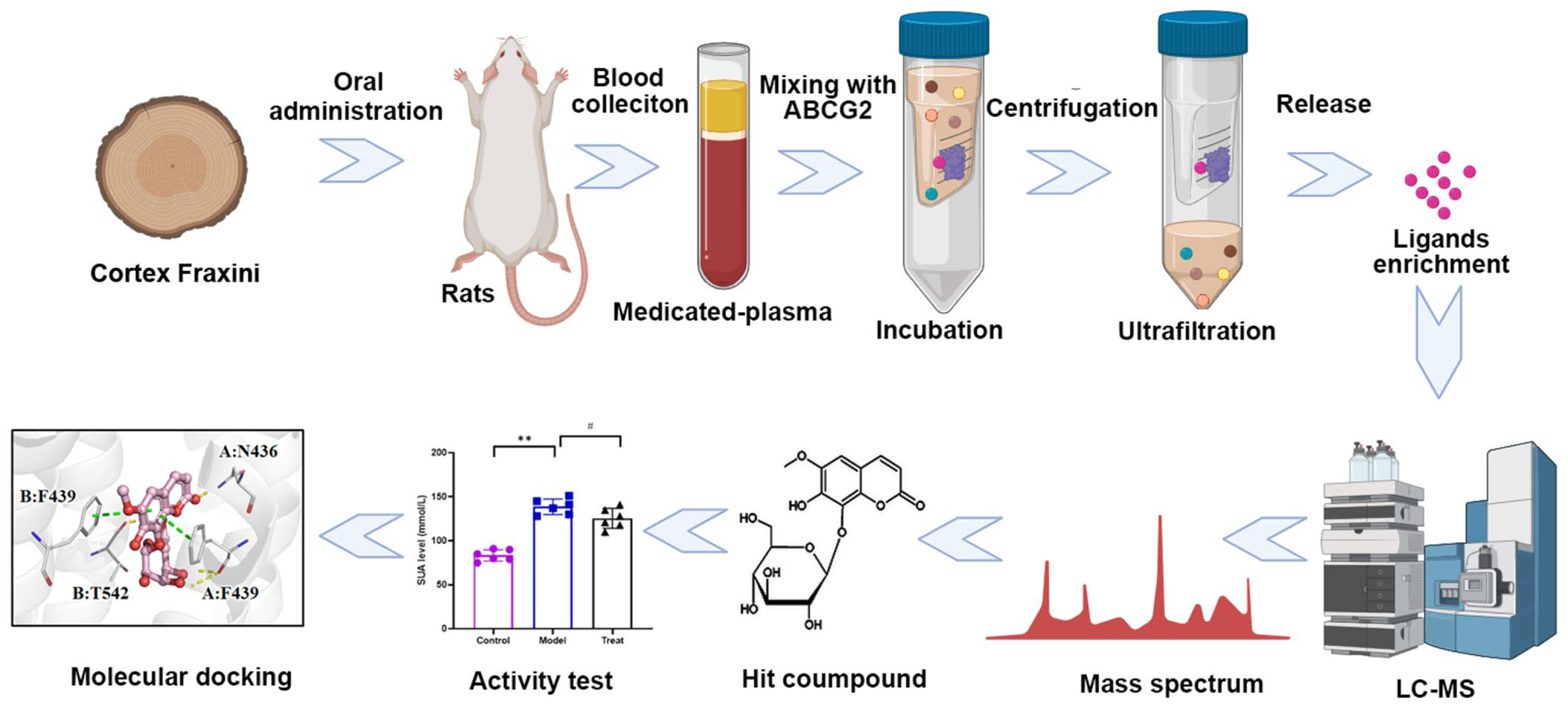 Molecules 28 07896 g001