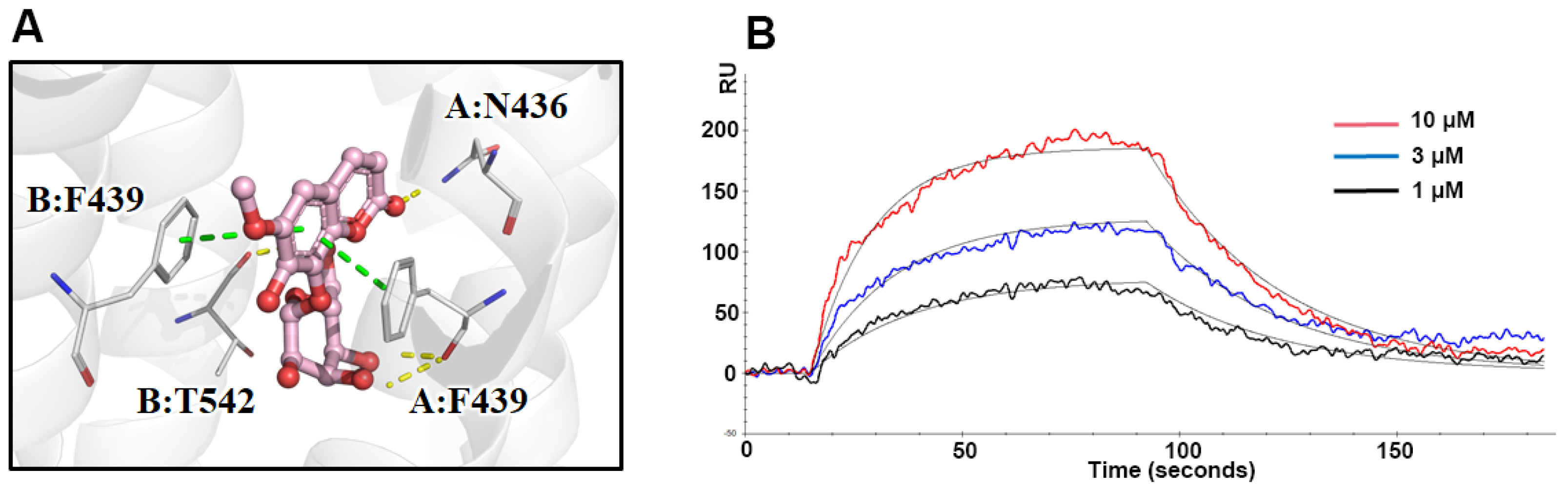 Molecules 28 07896 g005