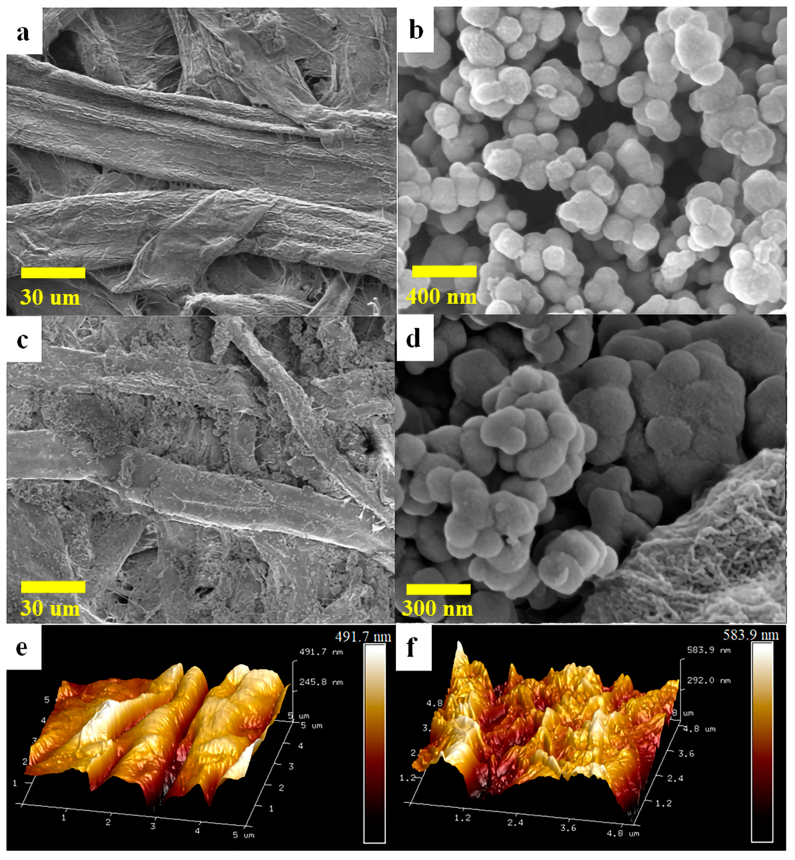 Molecules 28 07903 g001