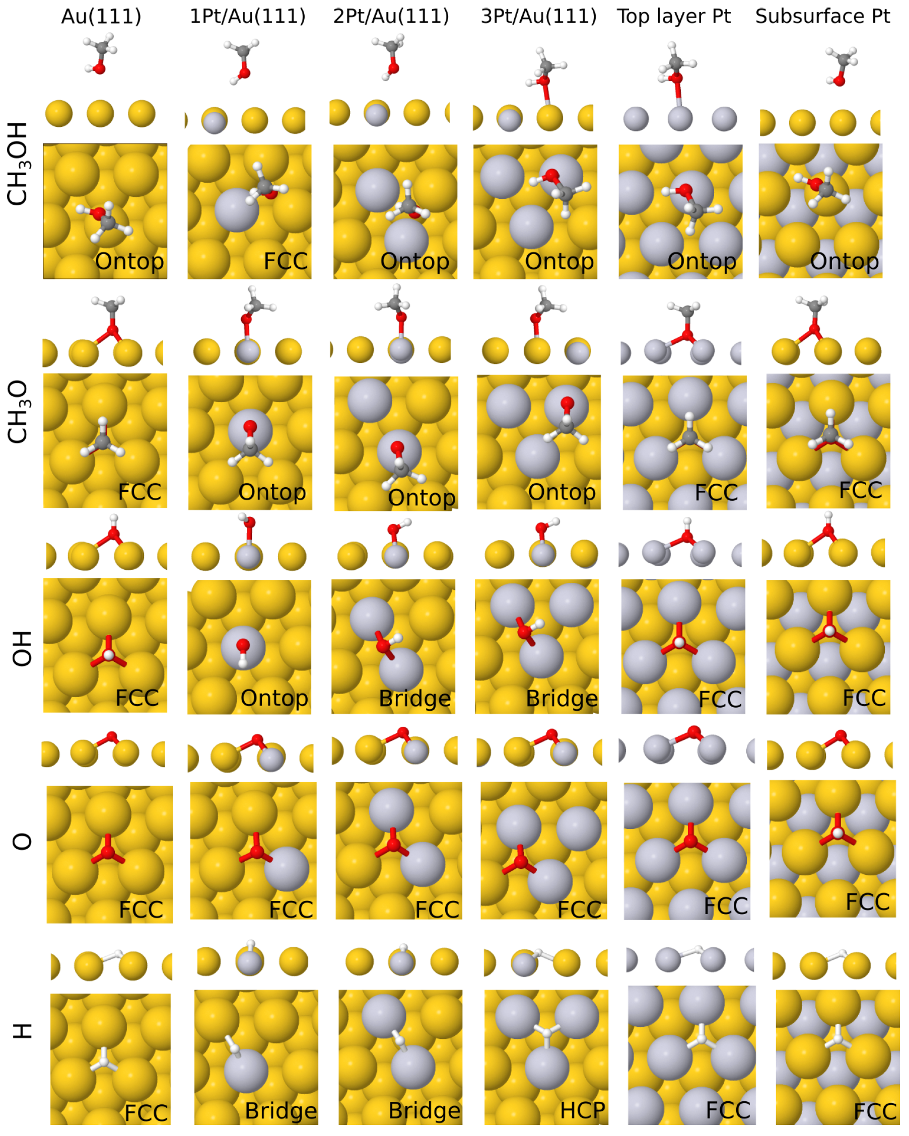 Molecules 28 07928 g002