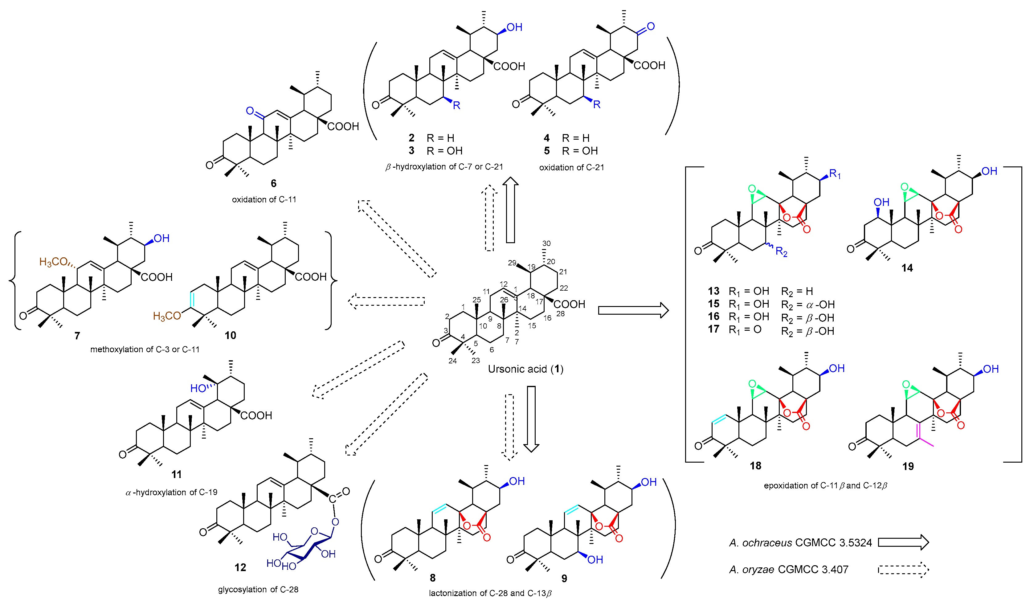 Molecules 28 07943 g001