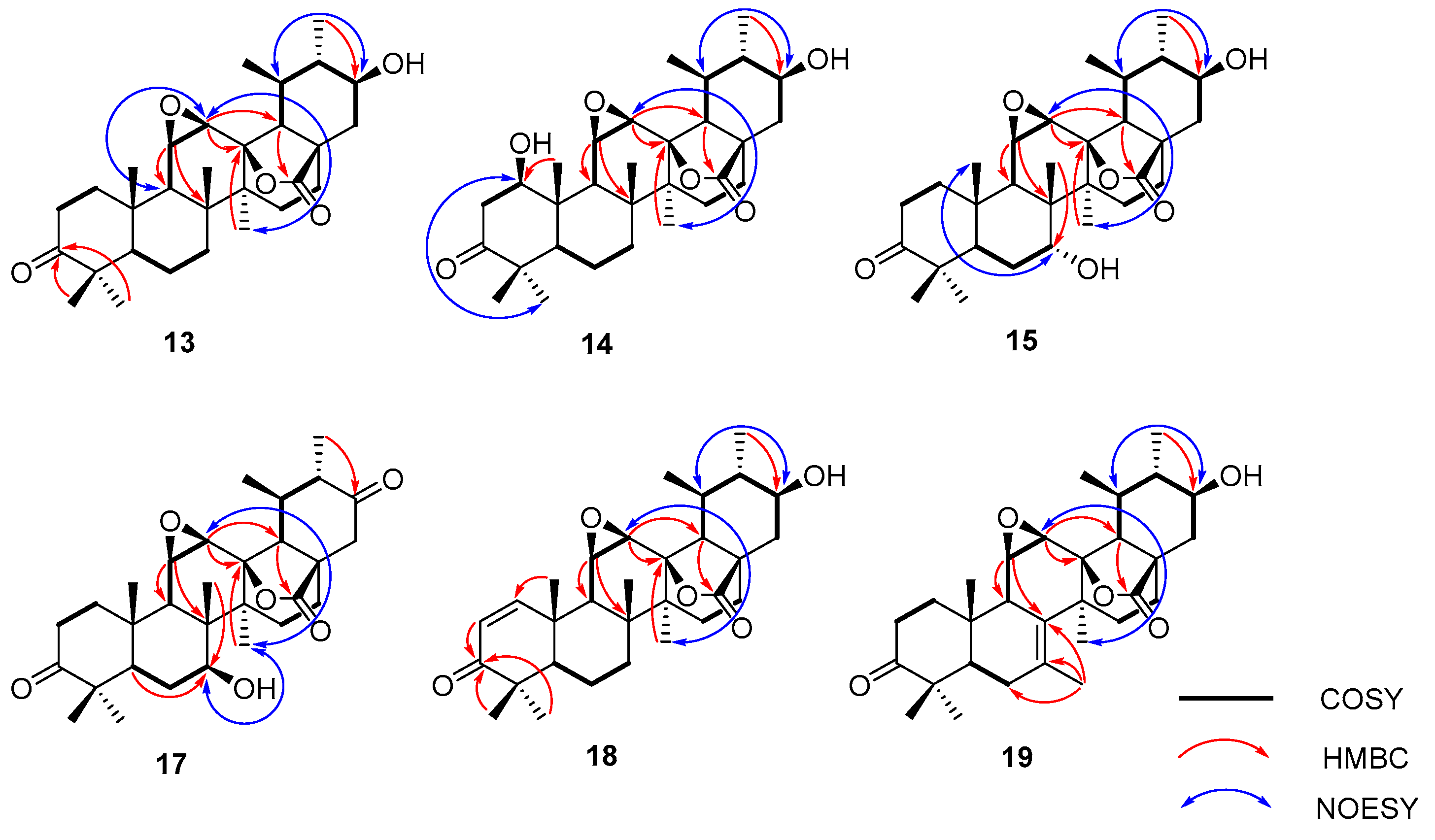 Molecules 28 07943 g004