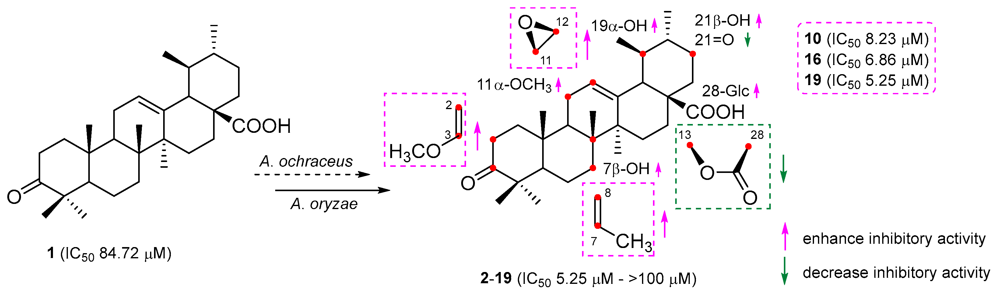 Molecules 28 07943 g006