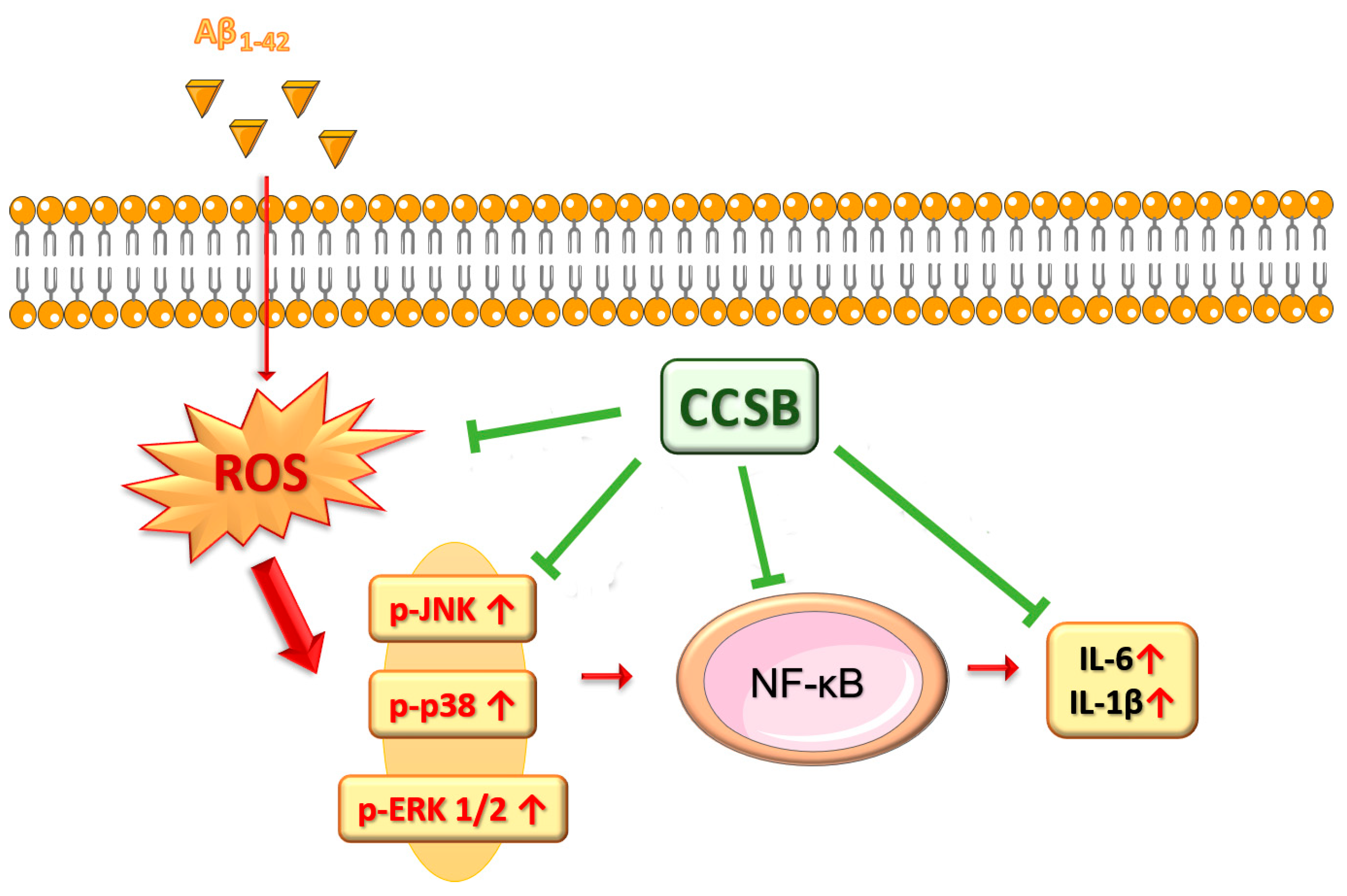 Molecules 28 07949 g008