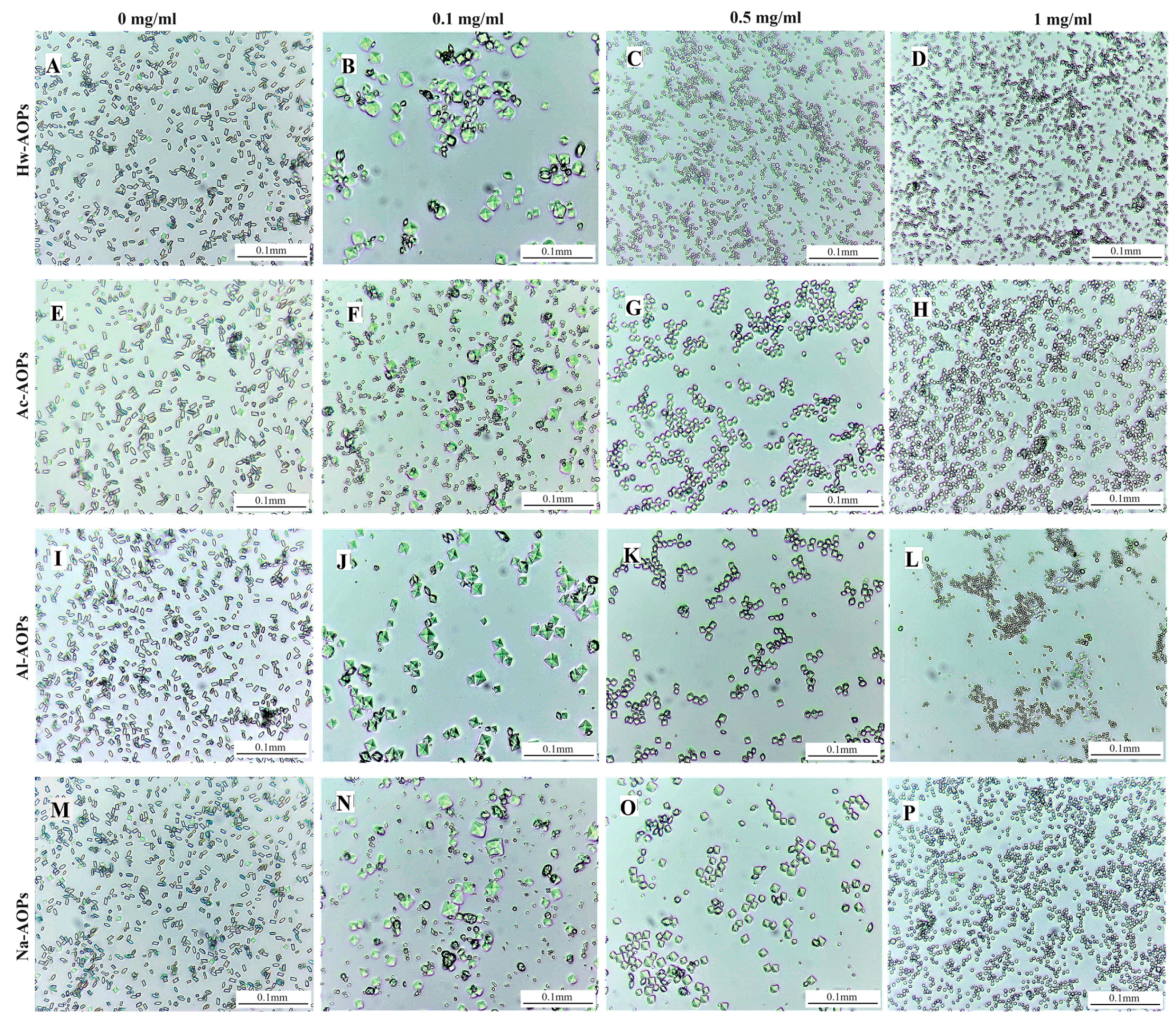 Molecules 28 07977 g006 Molecules 28 07977 g006