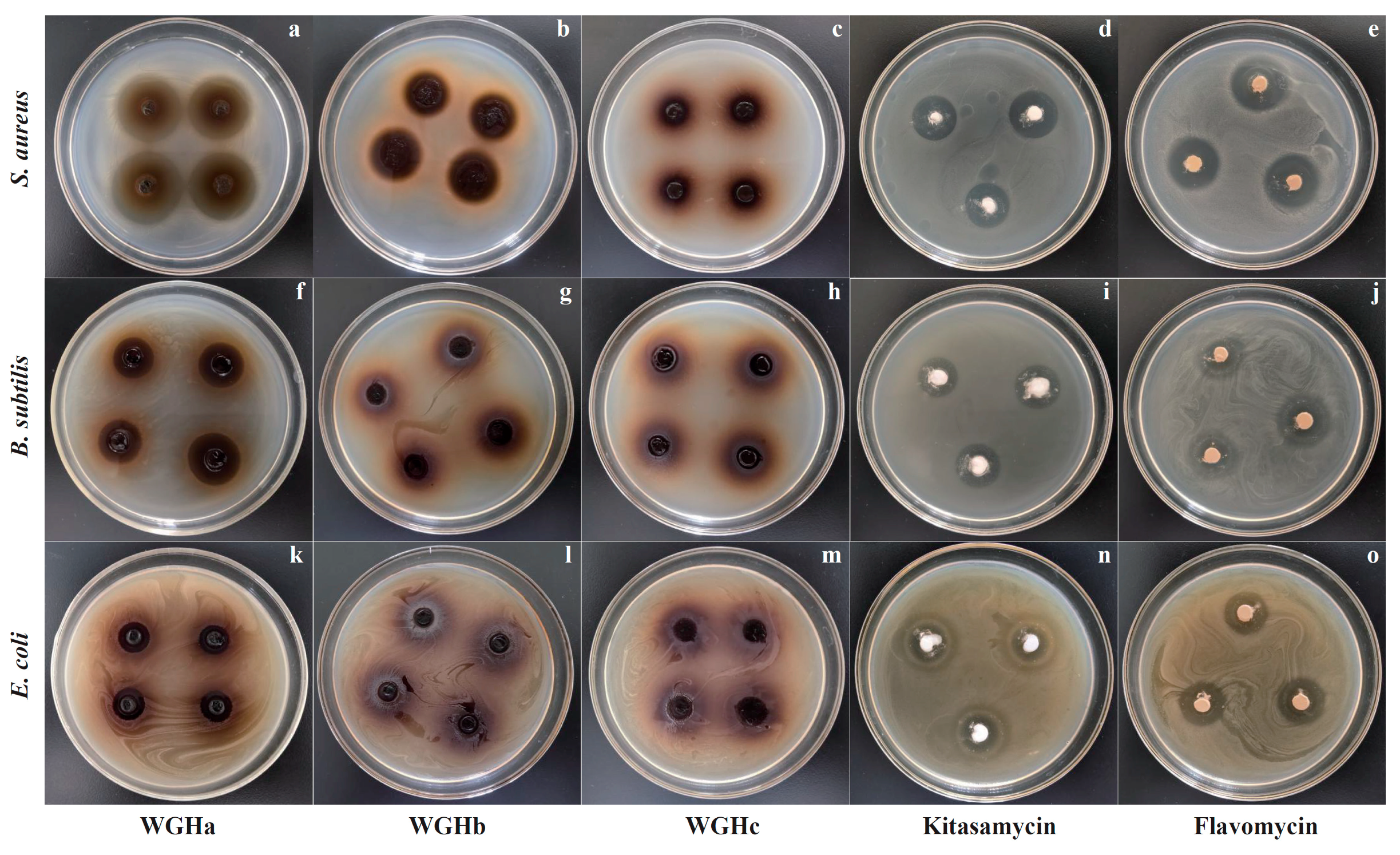 Molecules 28 07981 g001