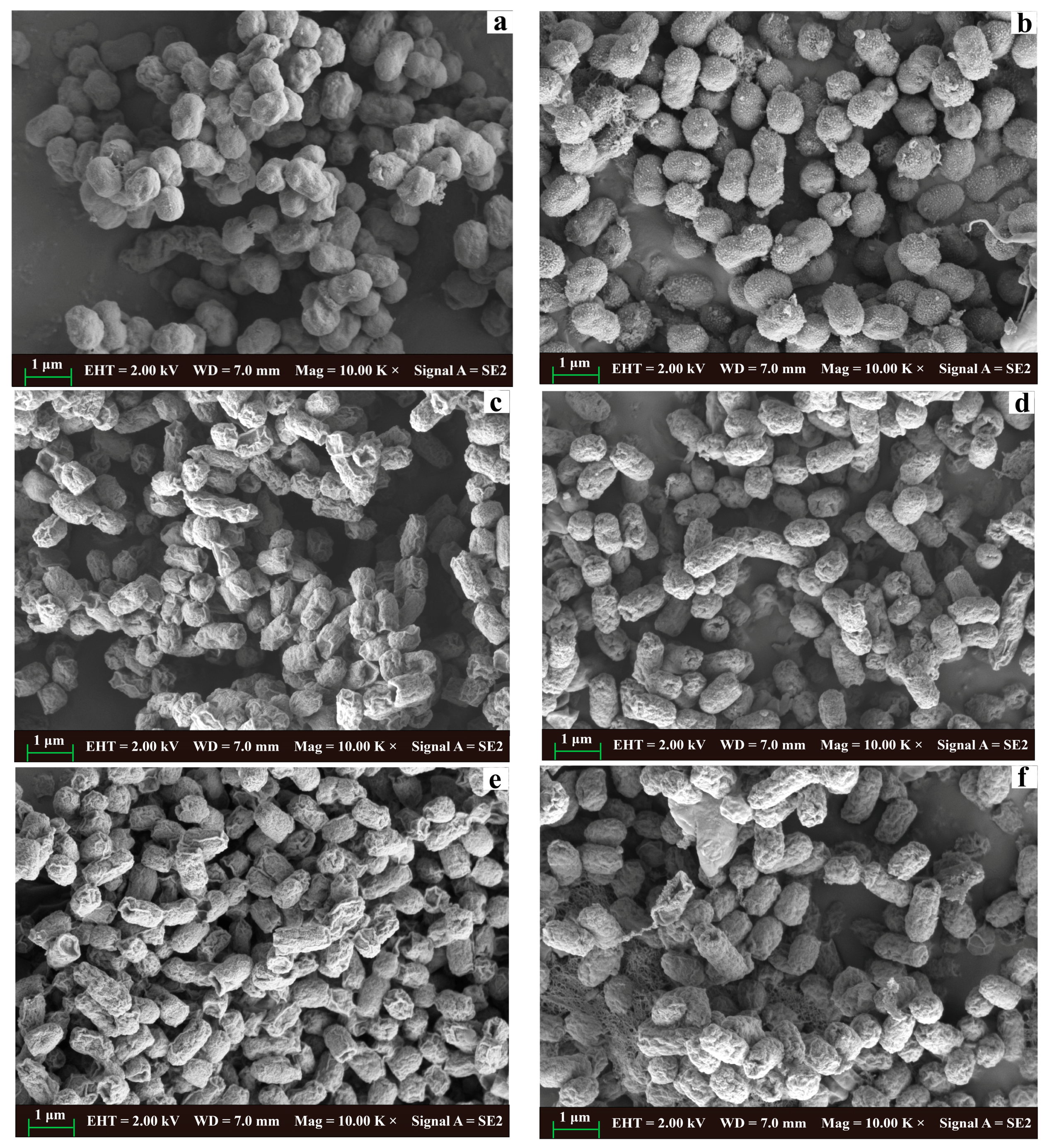 Molecules 28 07981 g009