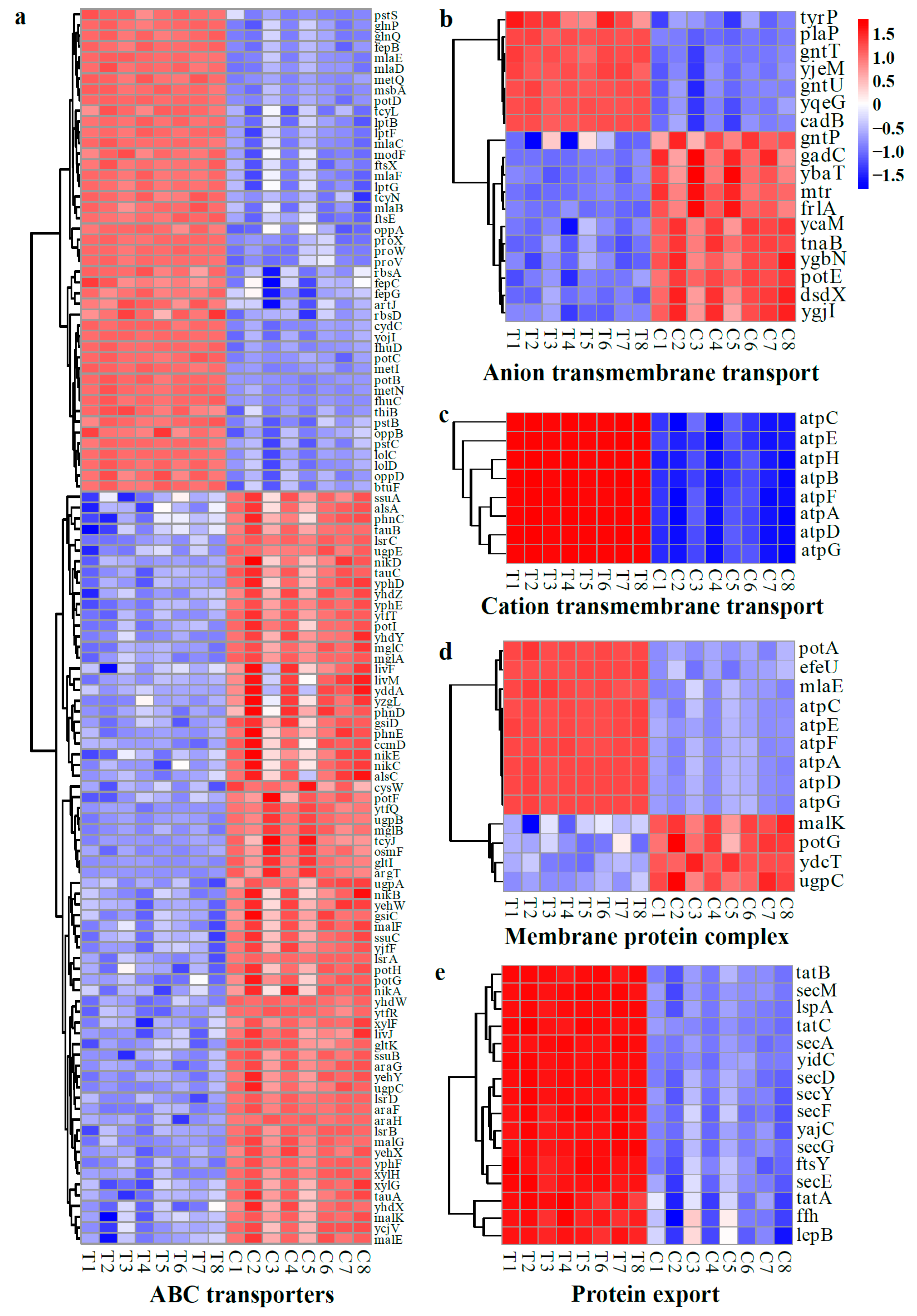 Molecules 28 07981 g013