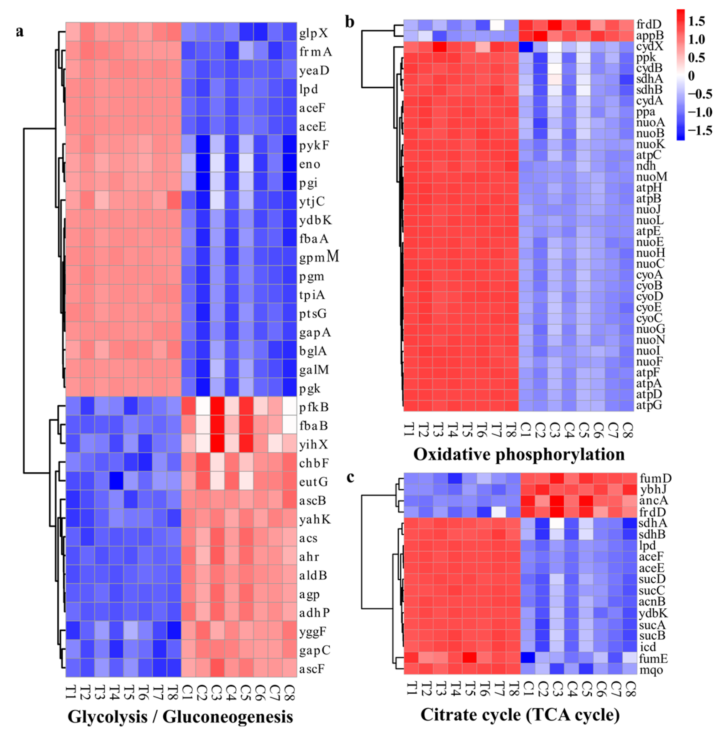 Molecules 28 07981 g015