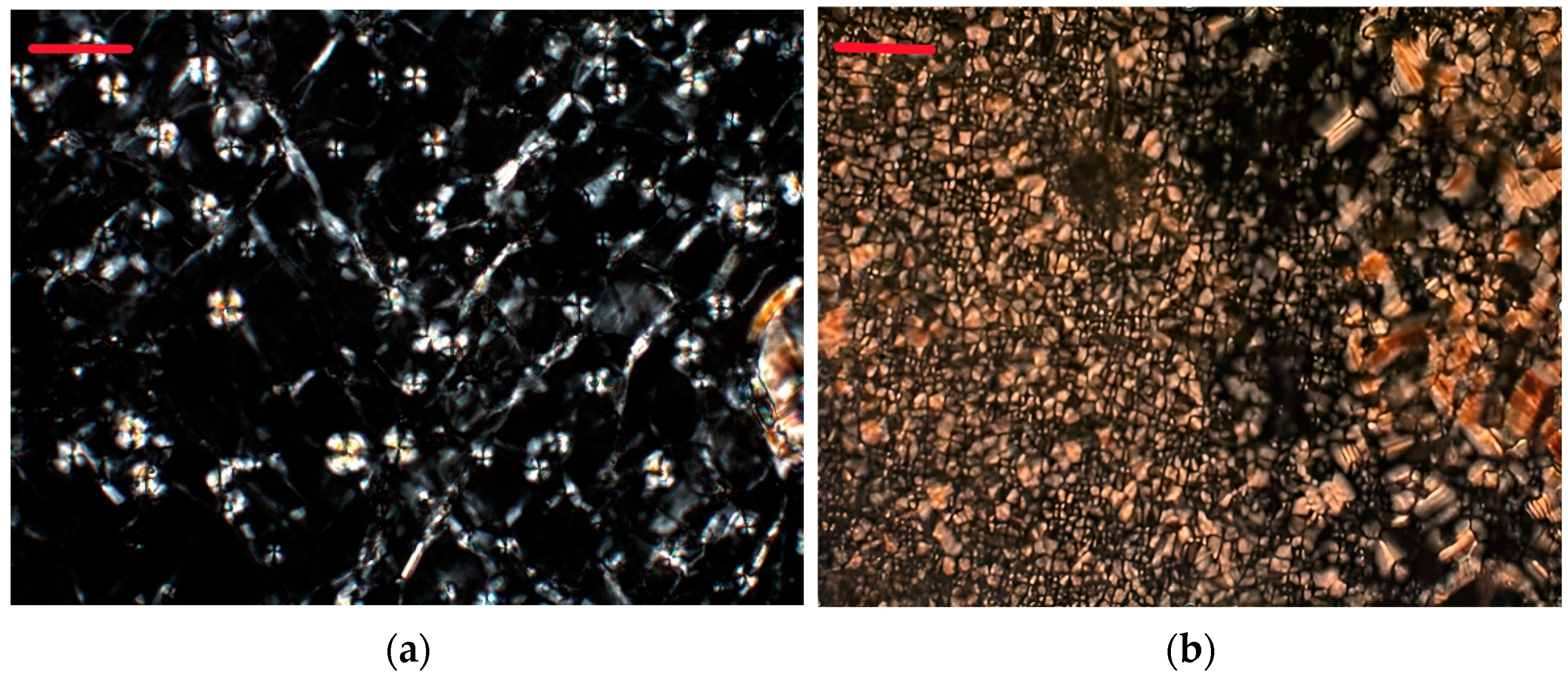 Molecules 28 08002 g002 Molecules 28 08002 g002