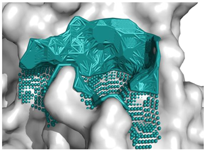 Molecules 28 08009 i004