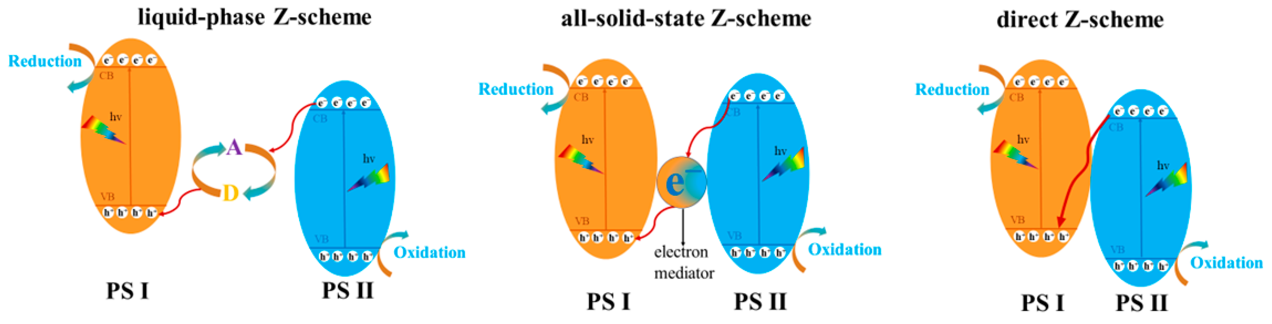 Molecules 28 08011 g008 Molecules 28 08011 g008