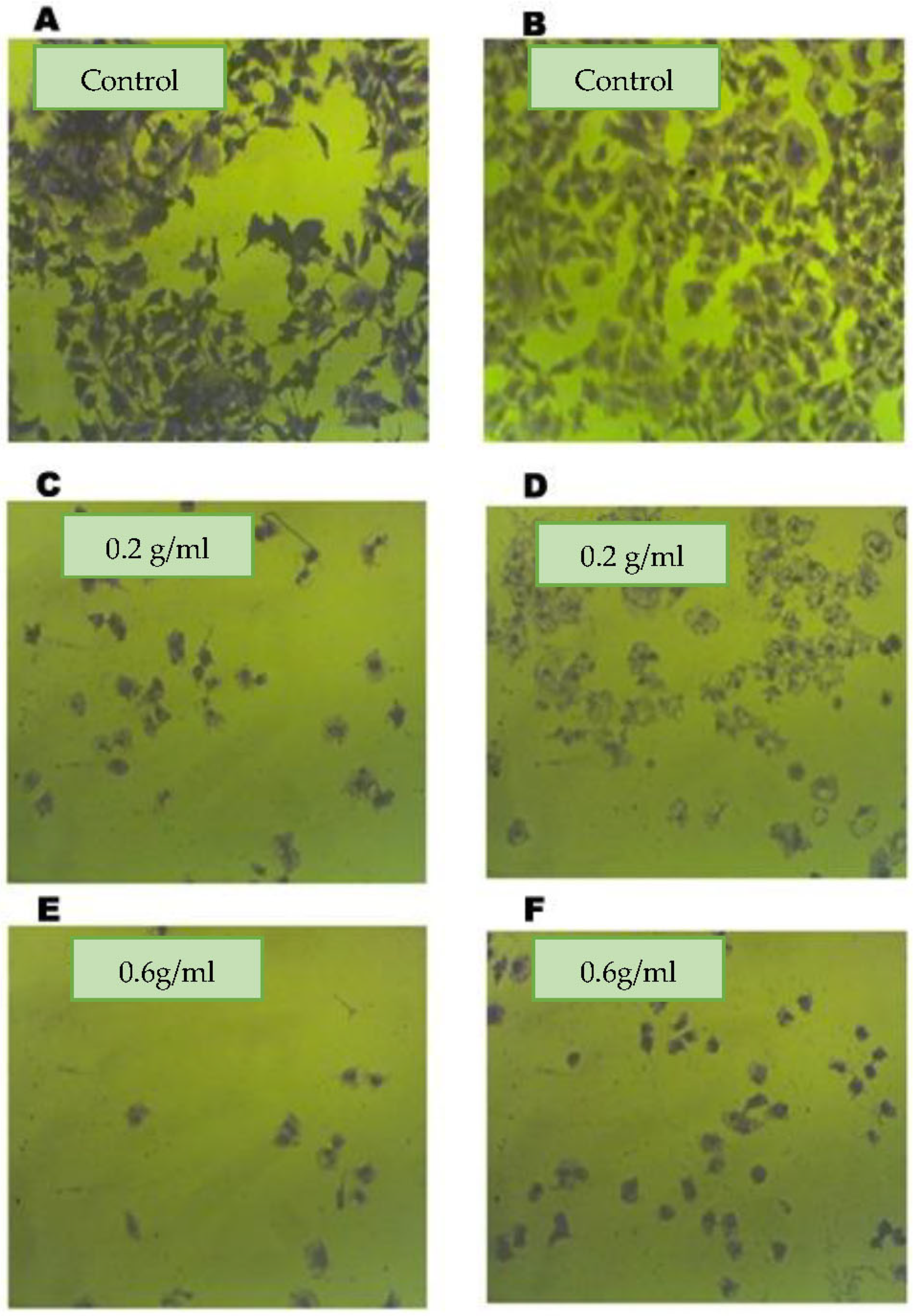 Molecules 28 08012 g003