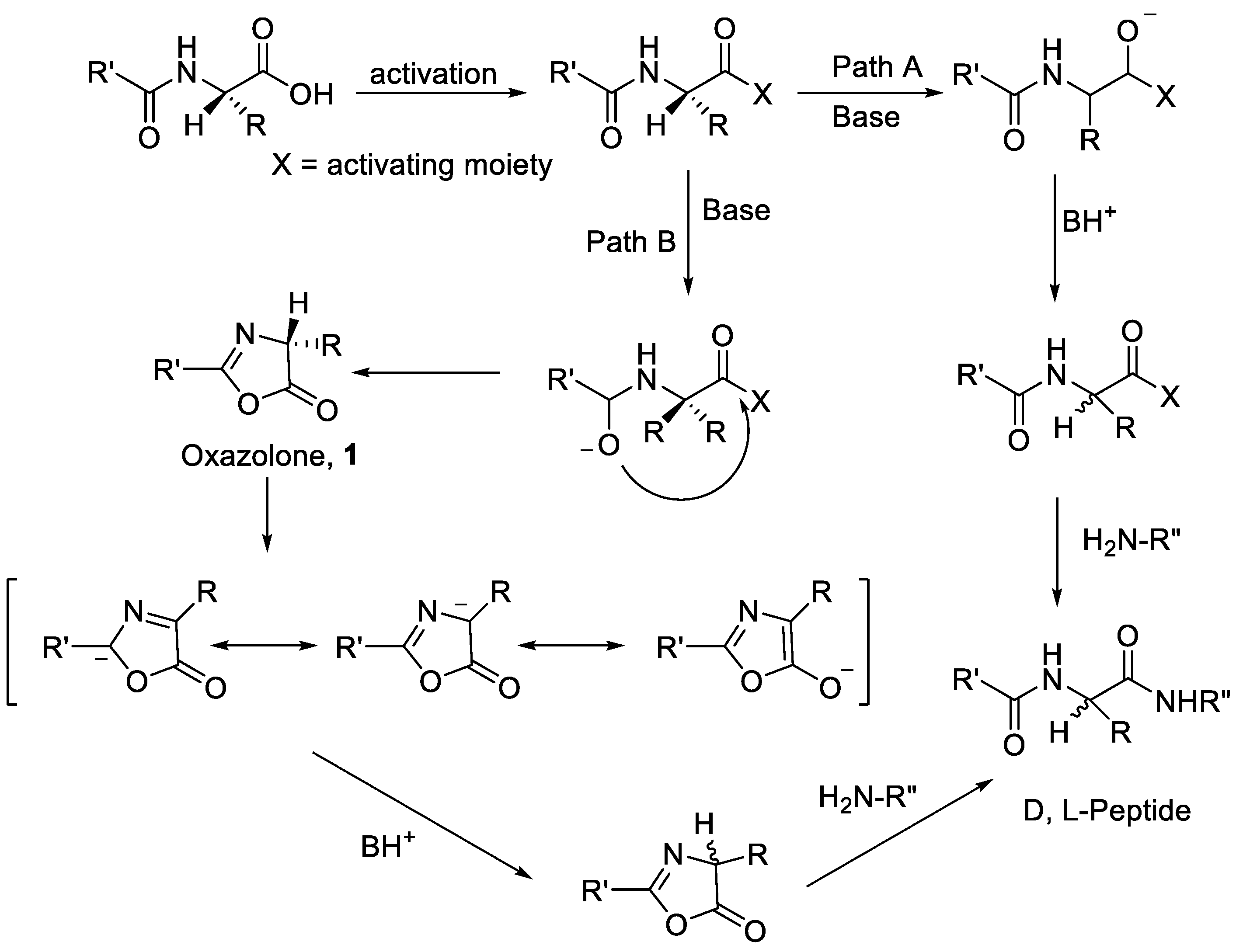 Molecules 28 08017 g004