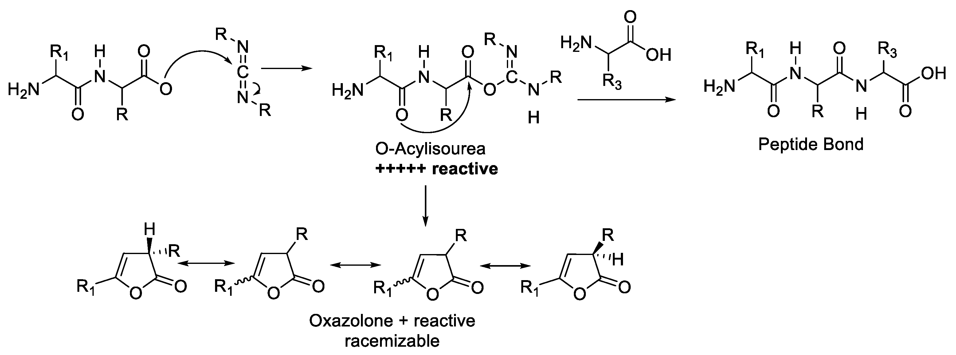 Molecules 28 08017 g006