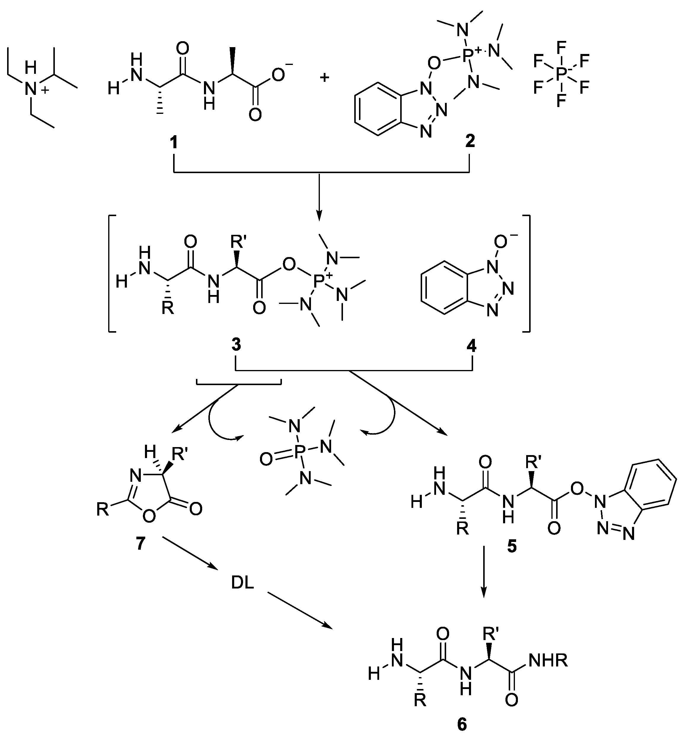 Molecules 28 08017 g020