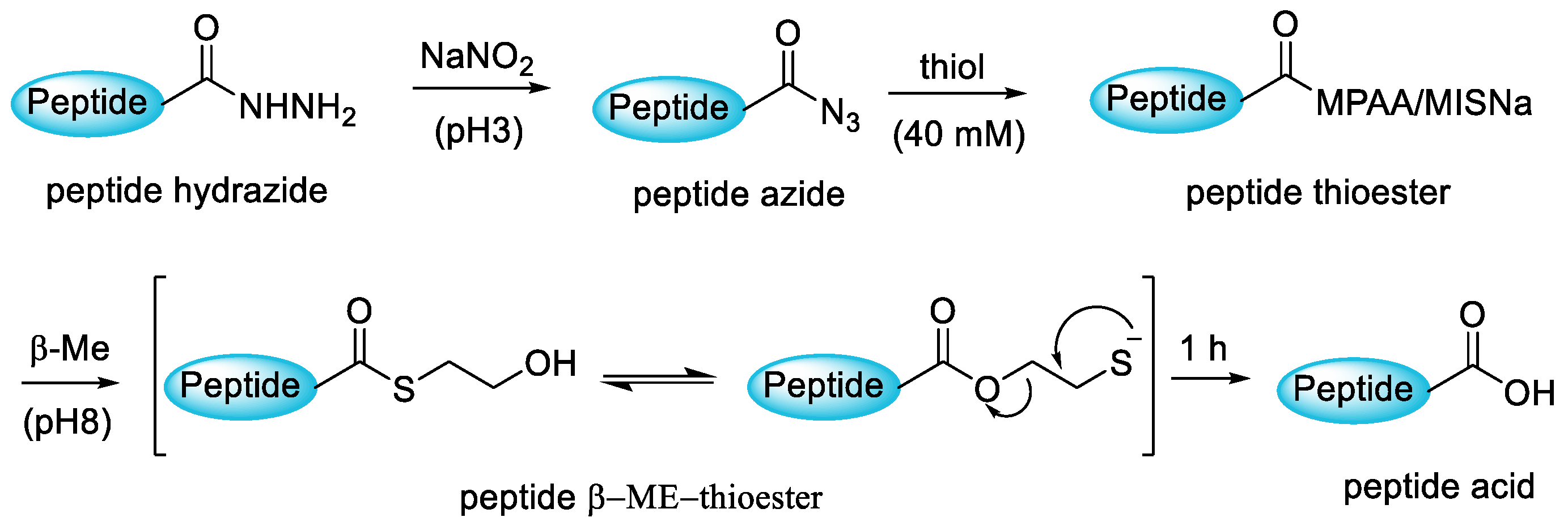 Molecules 28 08017 g041