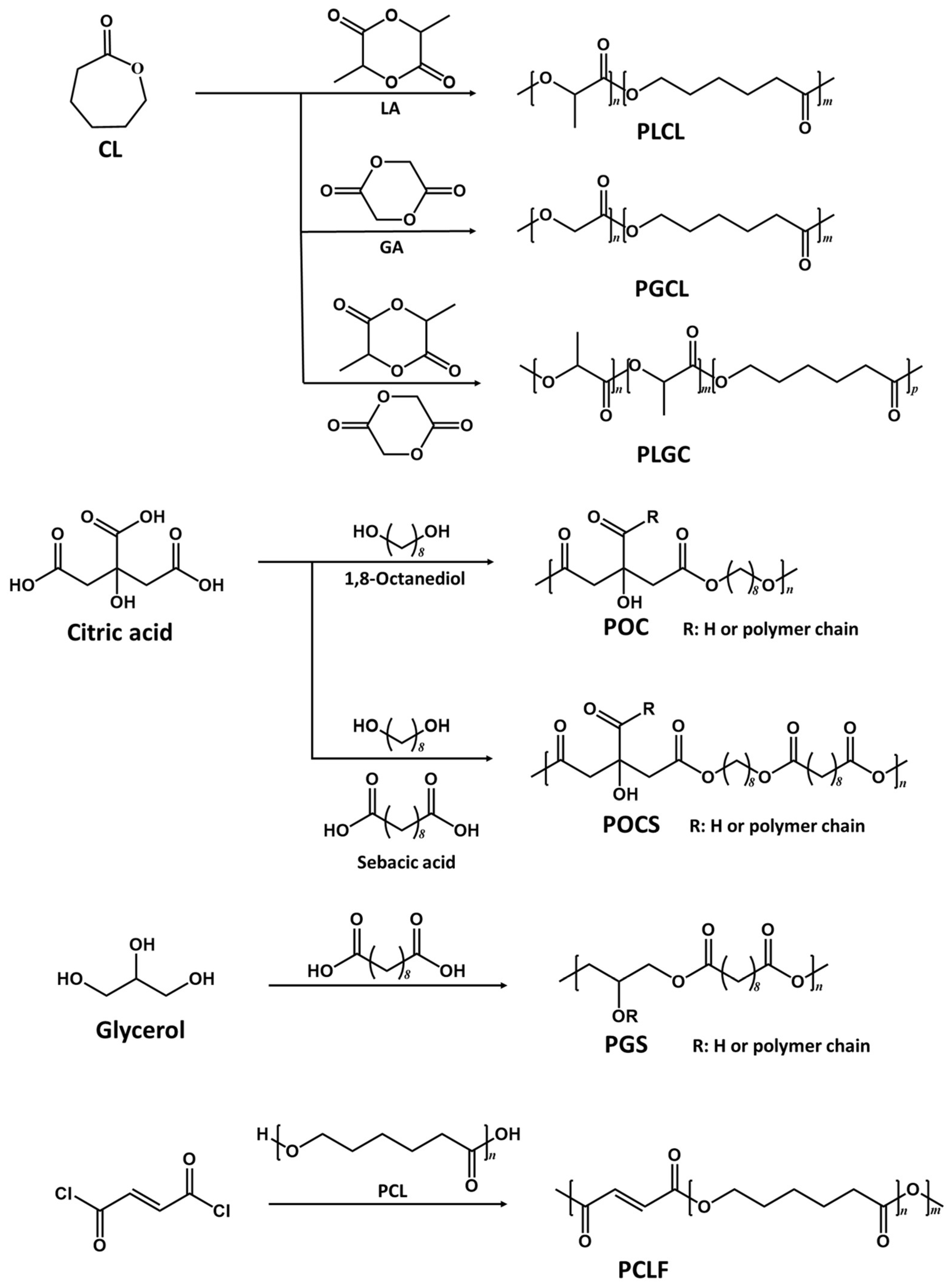 Molecules 28 08025 g001