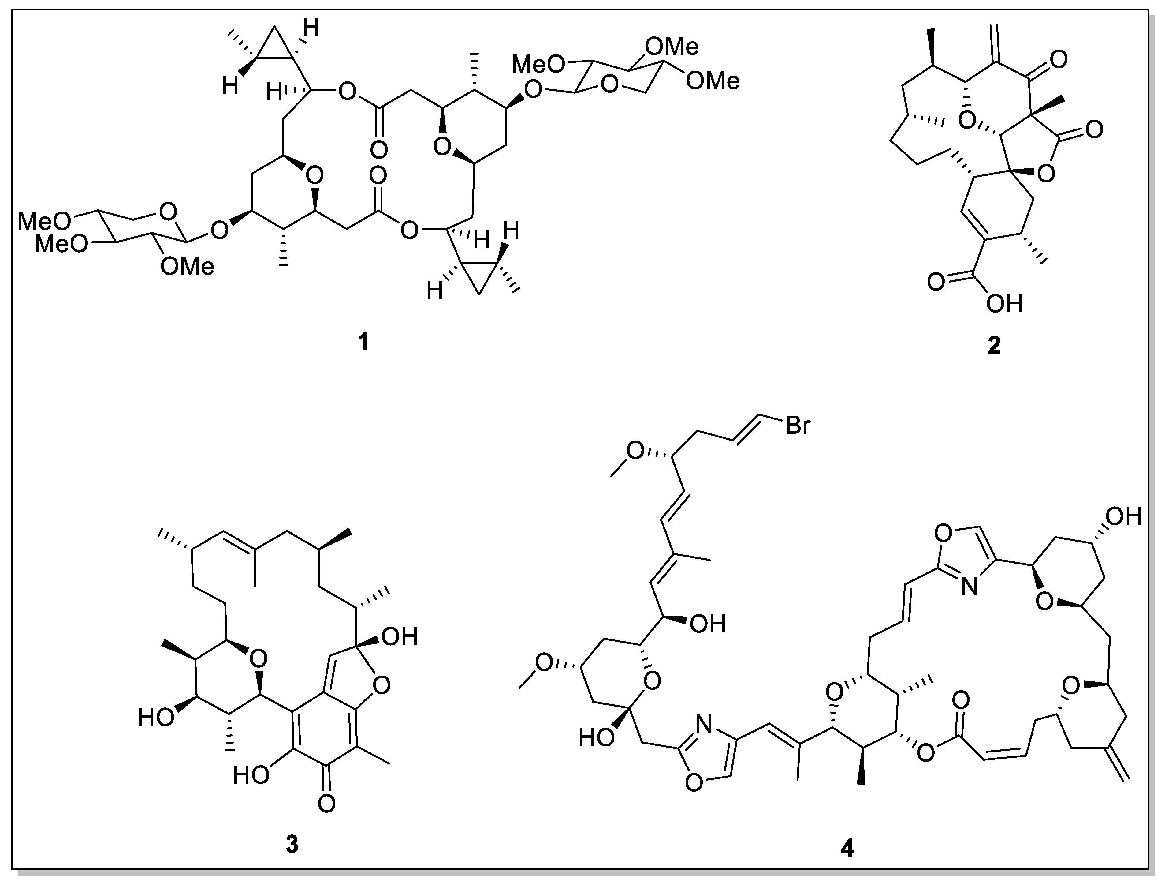 Molecules 28 08032 g002 Molecules 28 08032 g002