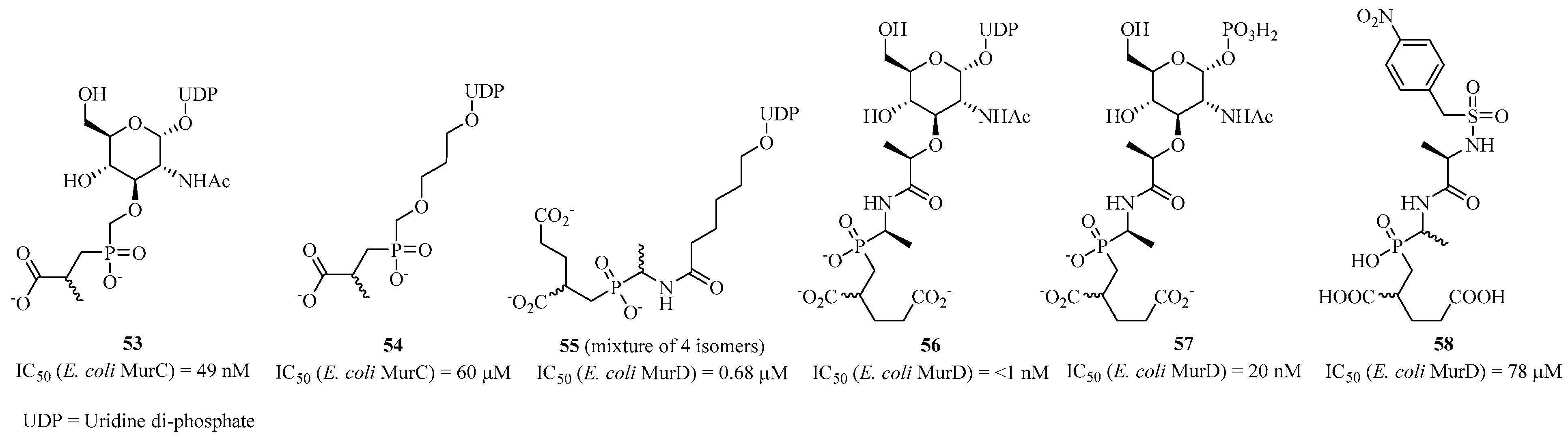 Molecules 28 08076 g013 Molecules 28 08076 g013
