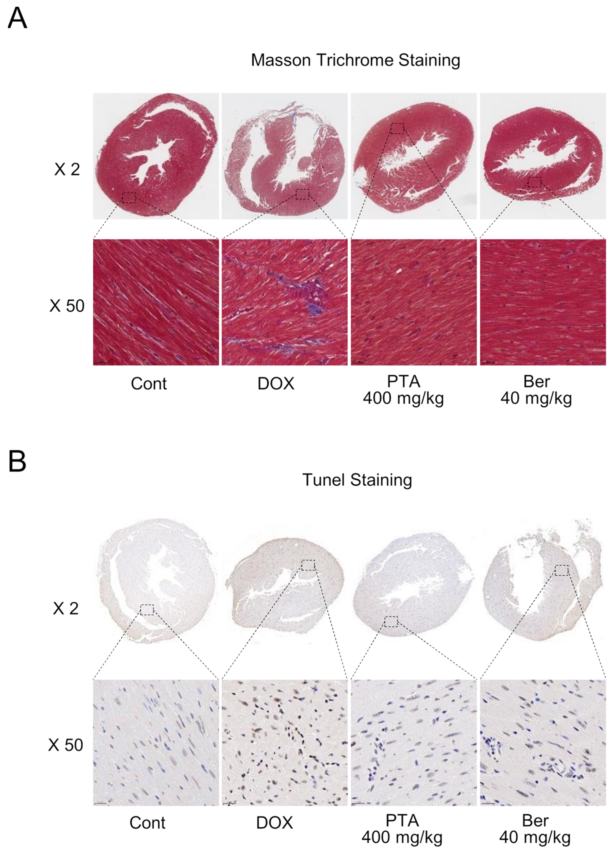 Molecules 28 08090 g004