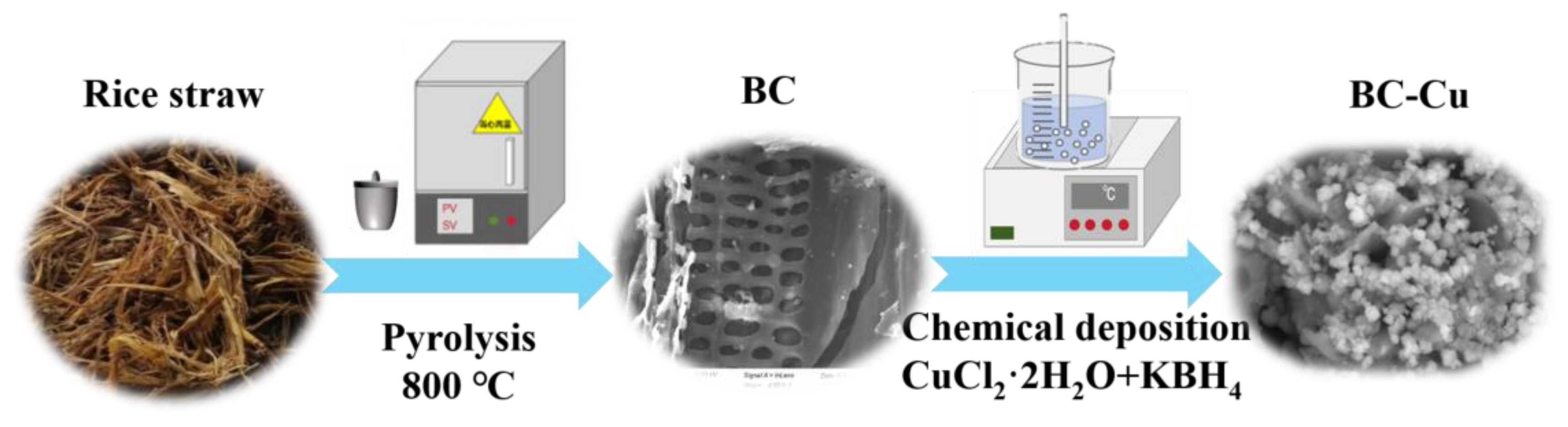 Molecules 28 08094 g001