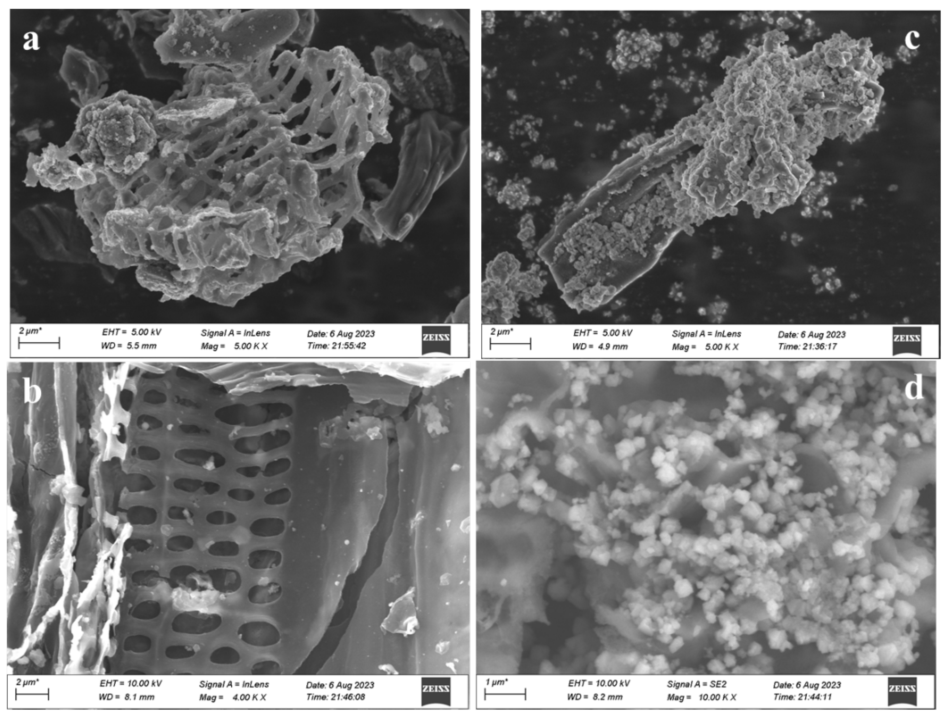 Molecules 28 08094 g003