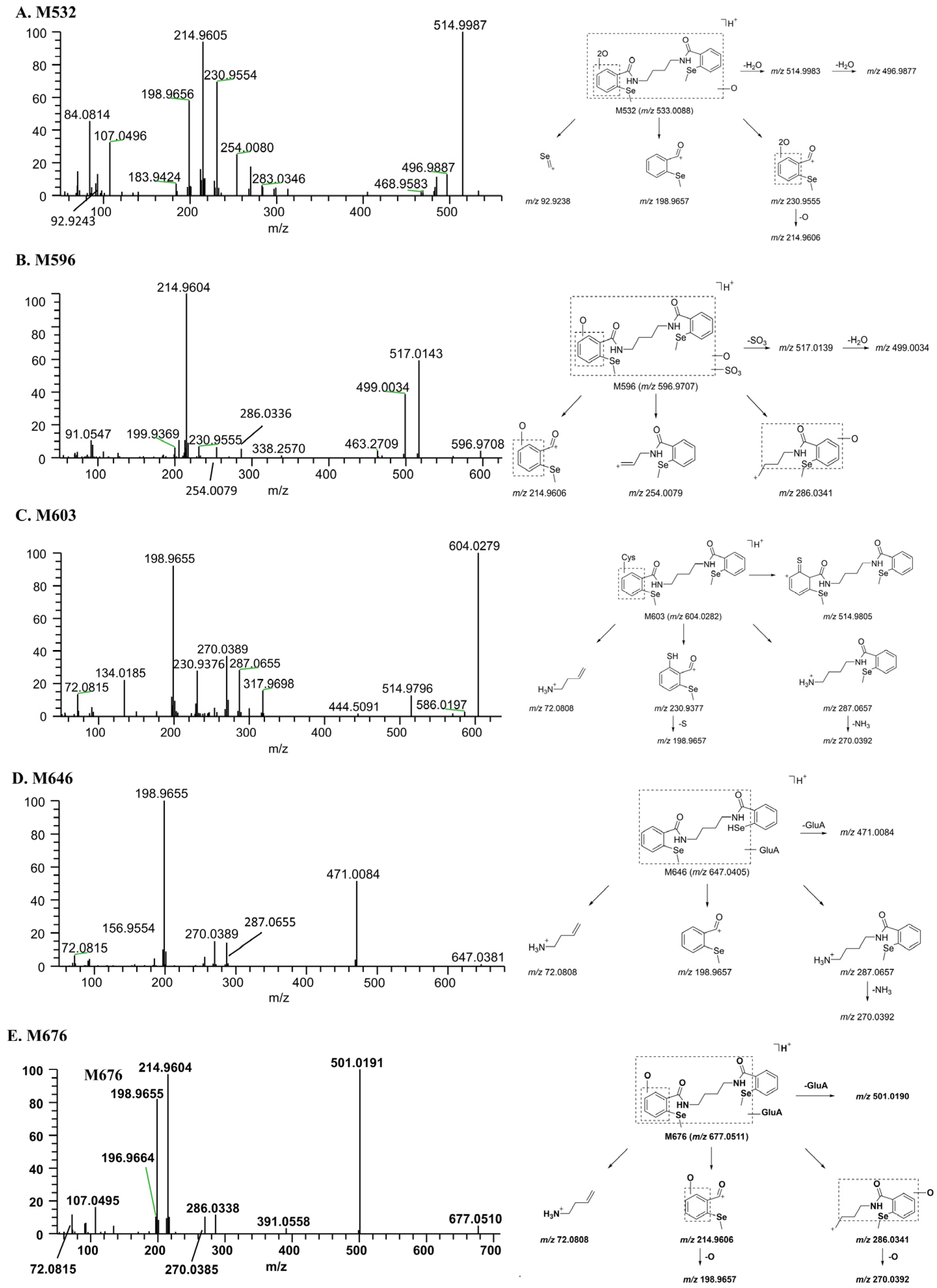 Molecules 28 08102 g007