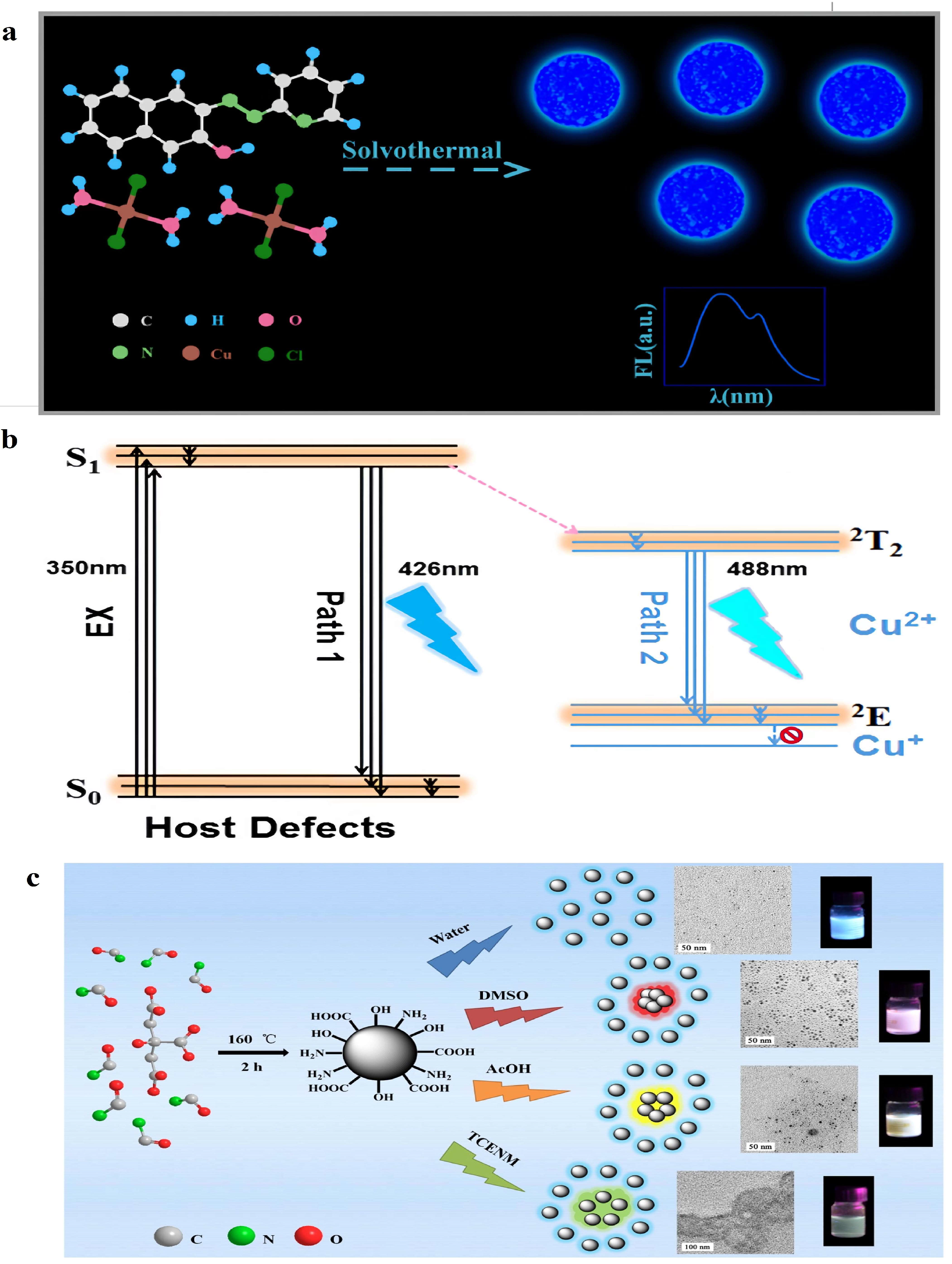 Molecules 28 08134 g004