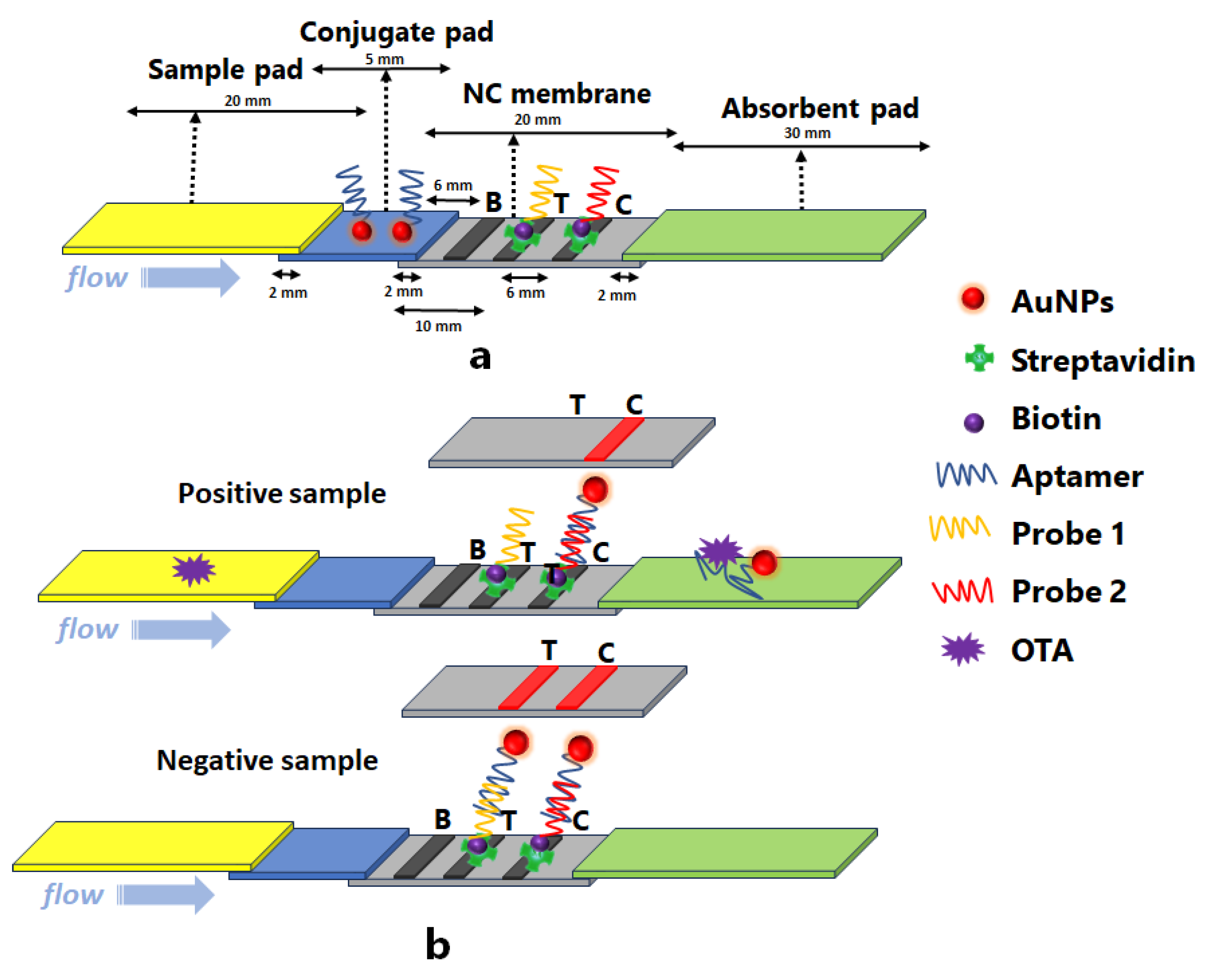 UltraFast Biotinylation Kit (microgram scale, 5 reactions