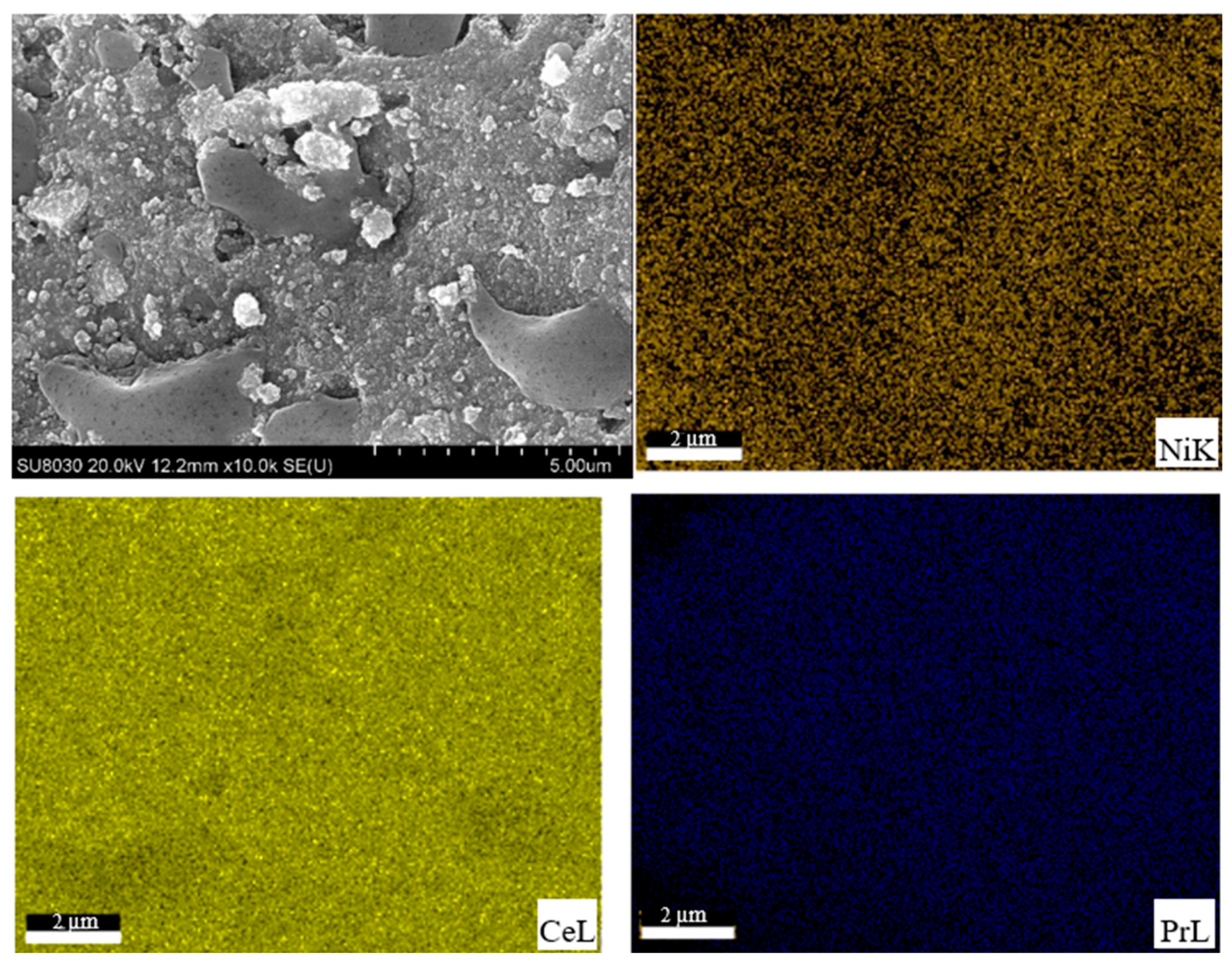Molecules 28 08146 g002 Molecules 28 08146 g002