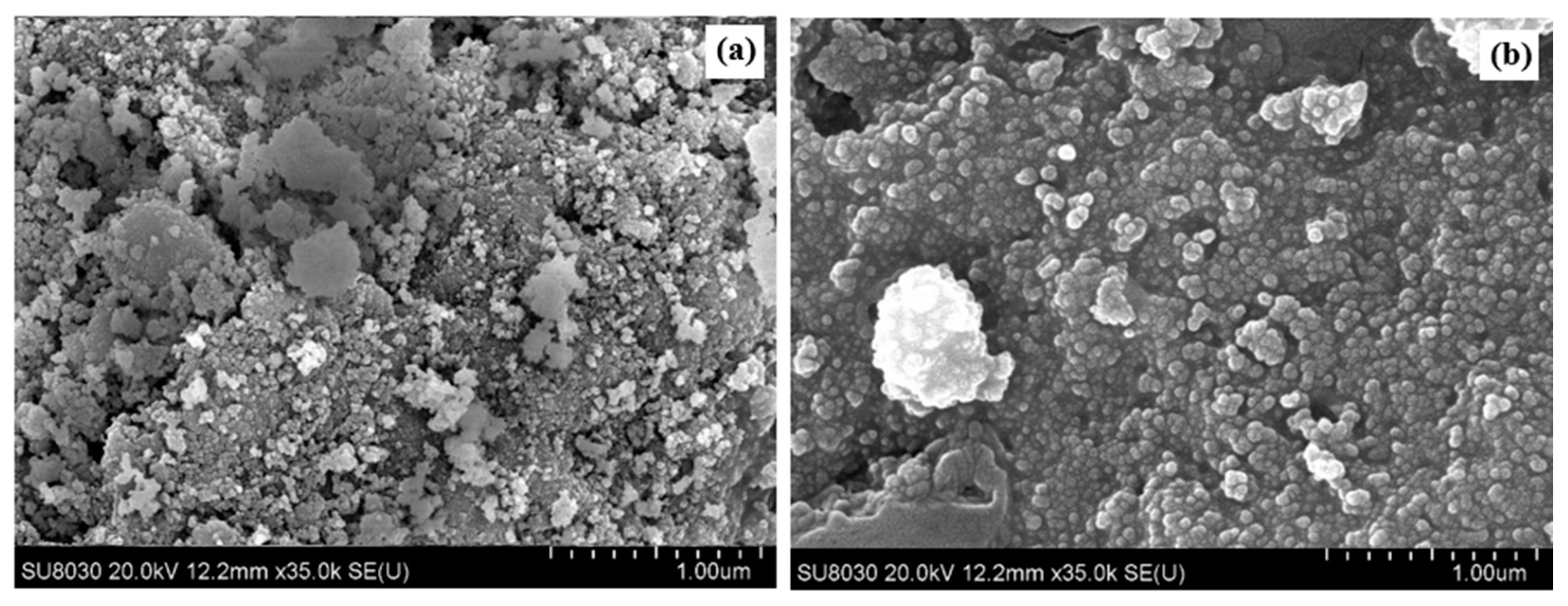 Molecules 28 08146 g007 Molecules 28 08146 g007