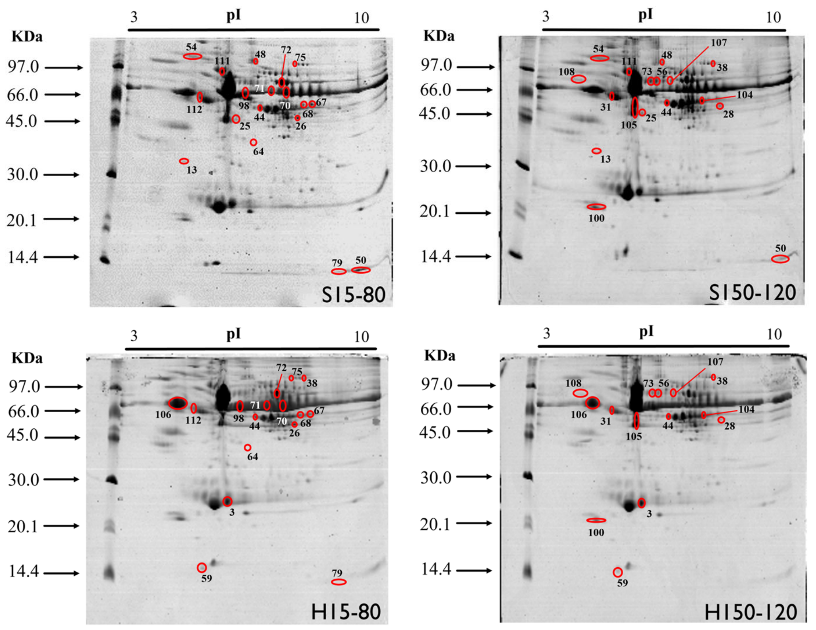 Molecules 28 08155 g001 Molecules 28 08155 g001