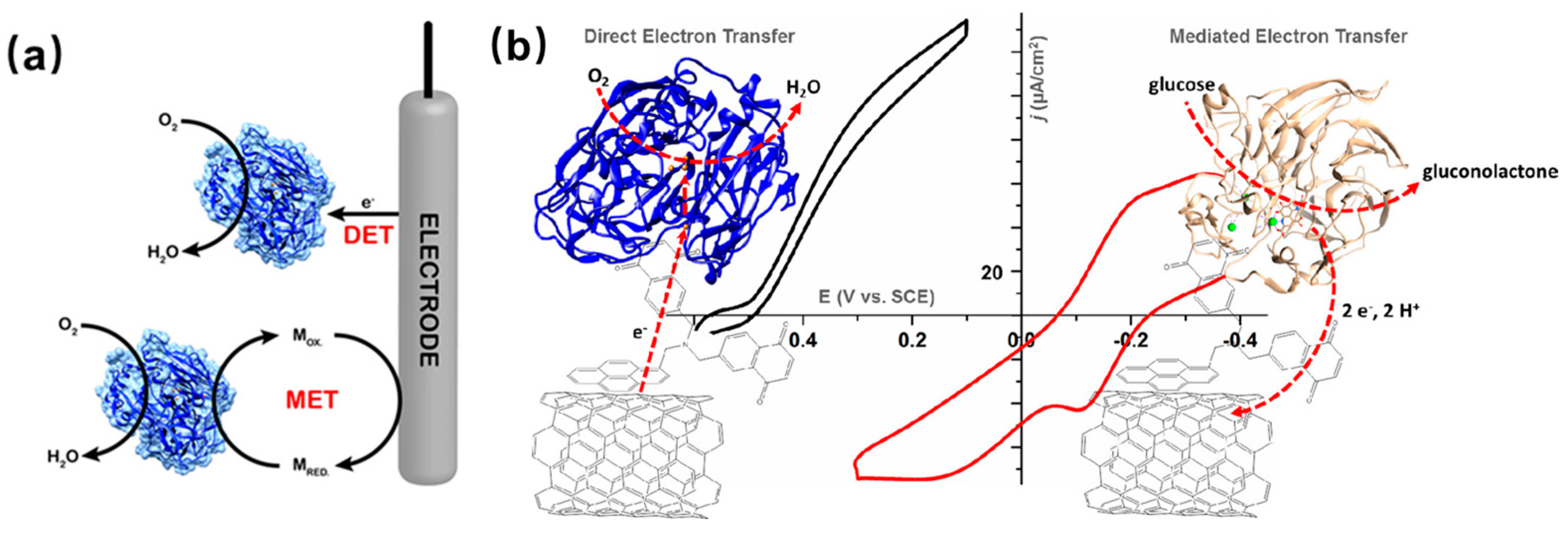 Molecules 29 00005 g007 Molecules 29 00005 g007