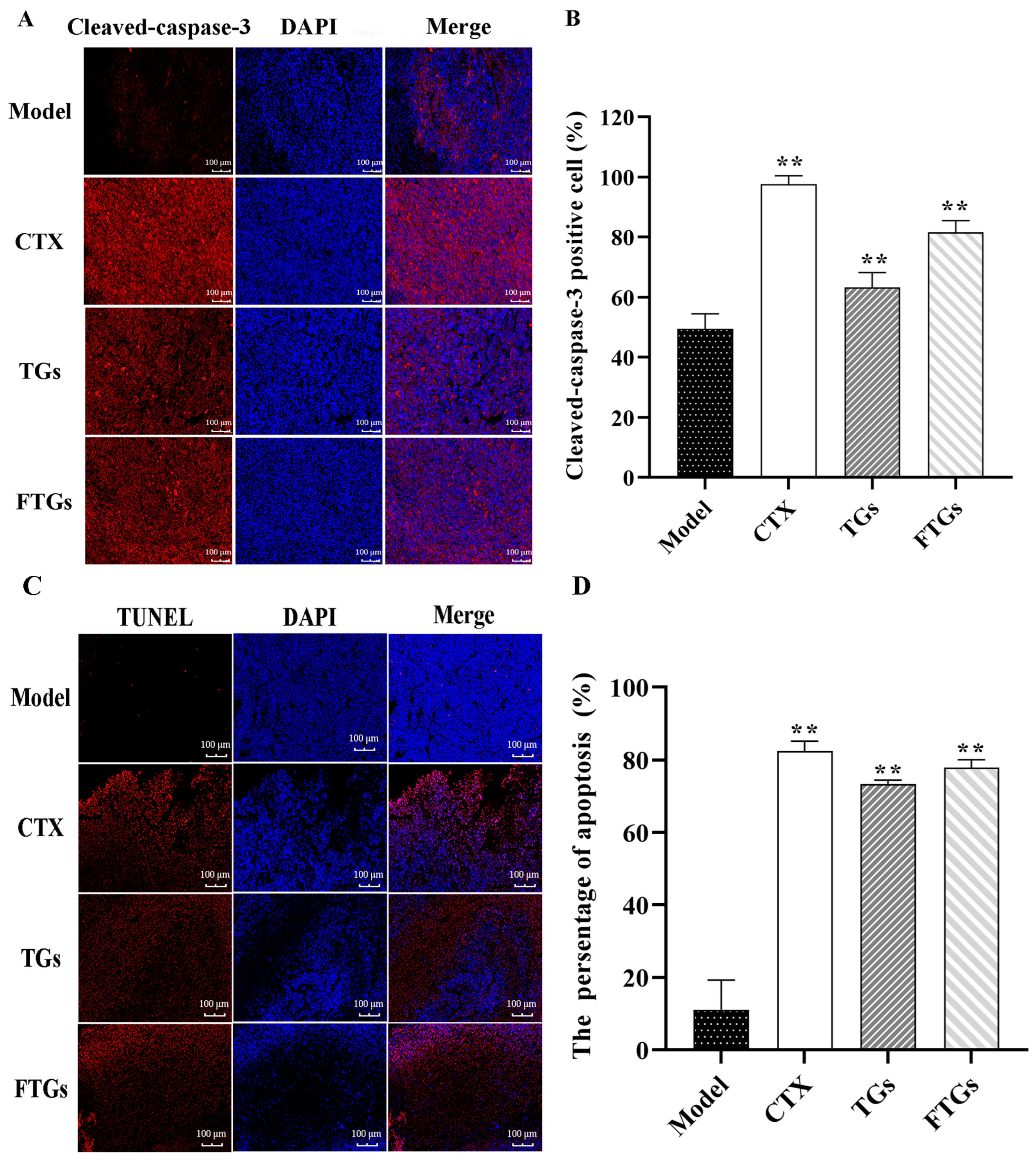 Molecules 29 00027 g003