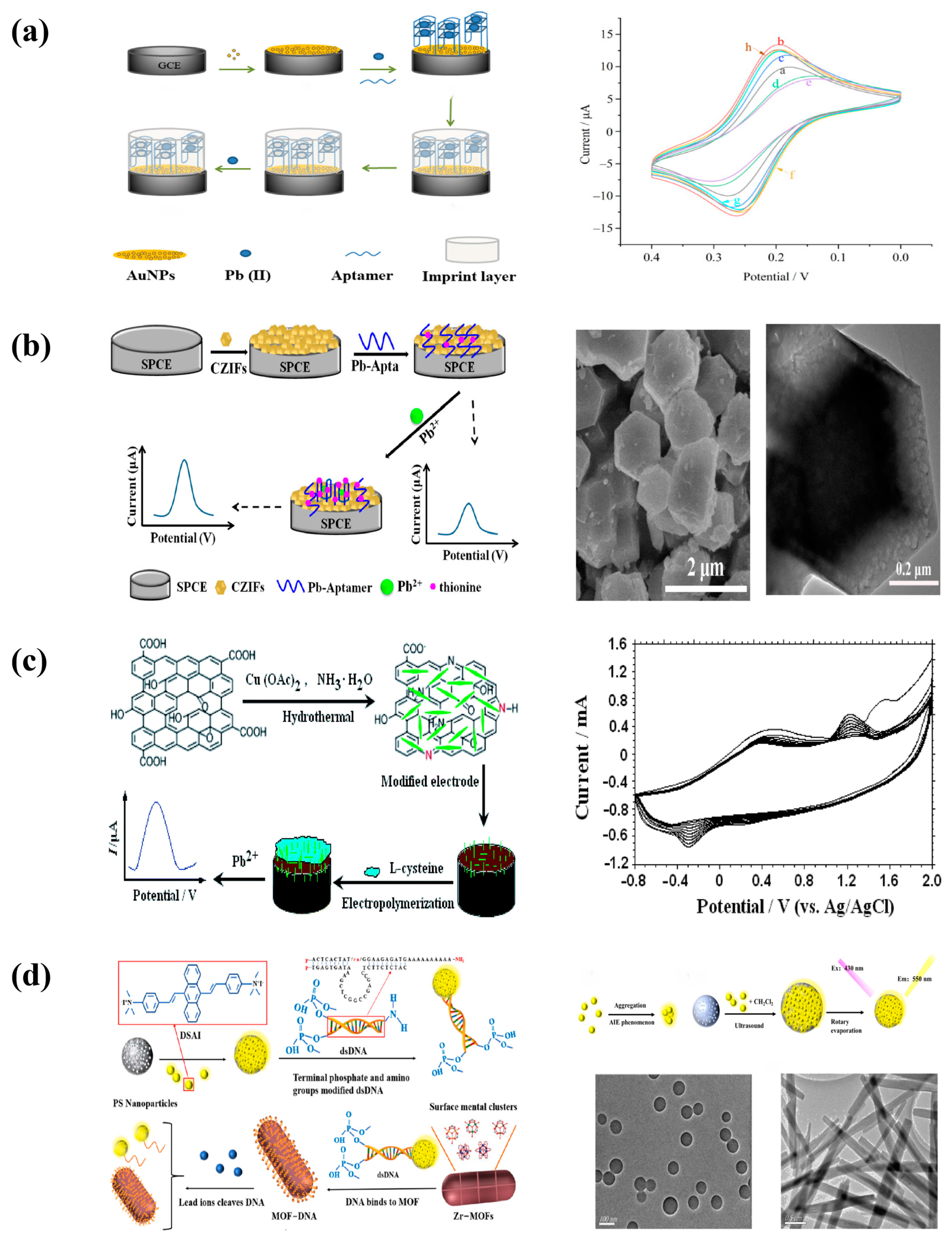 Molecules 29 00034 g003