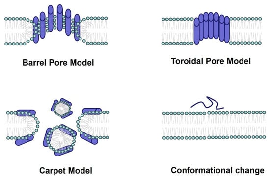 Molecules, Free Full-Text